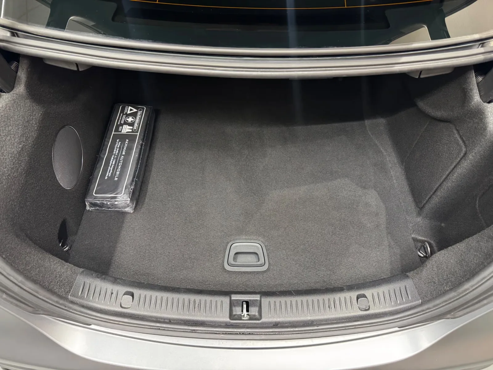 2021 BRABUS E 700, 19/30