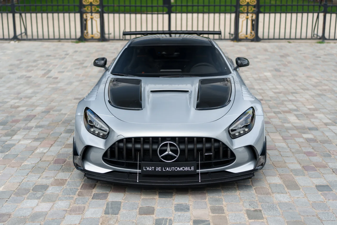 2021 Mercedes-AMG GT Black Series, 4/30