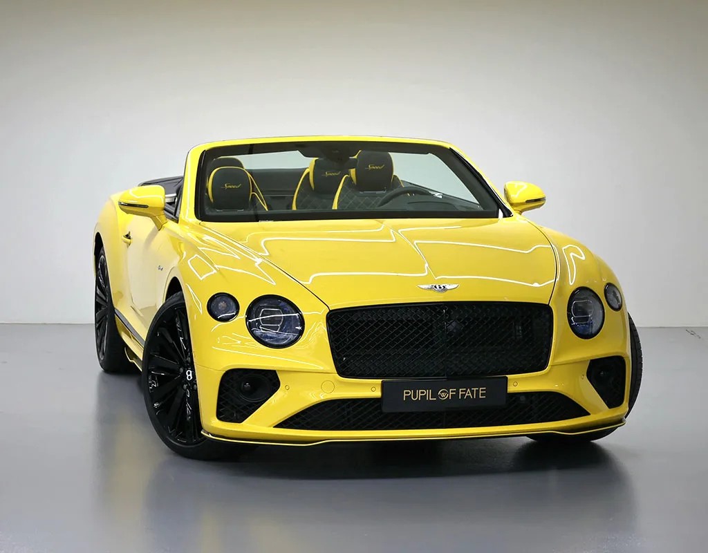 2022 Bentley Continental GTC Speed, 18/30