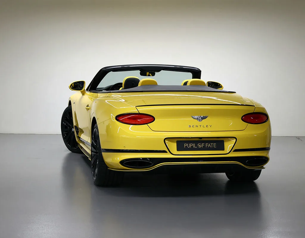 2022 Bentley Continental GTC Speed, 21/30