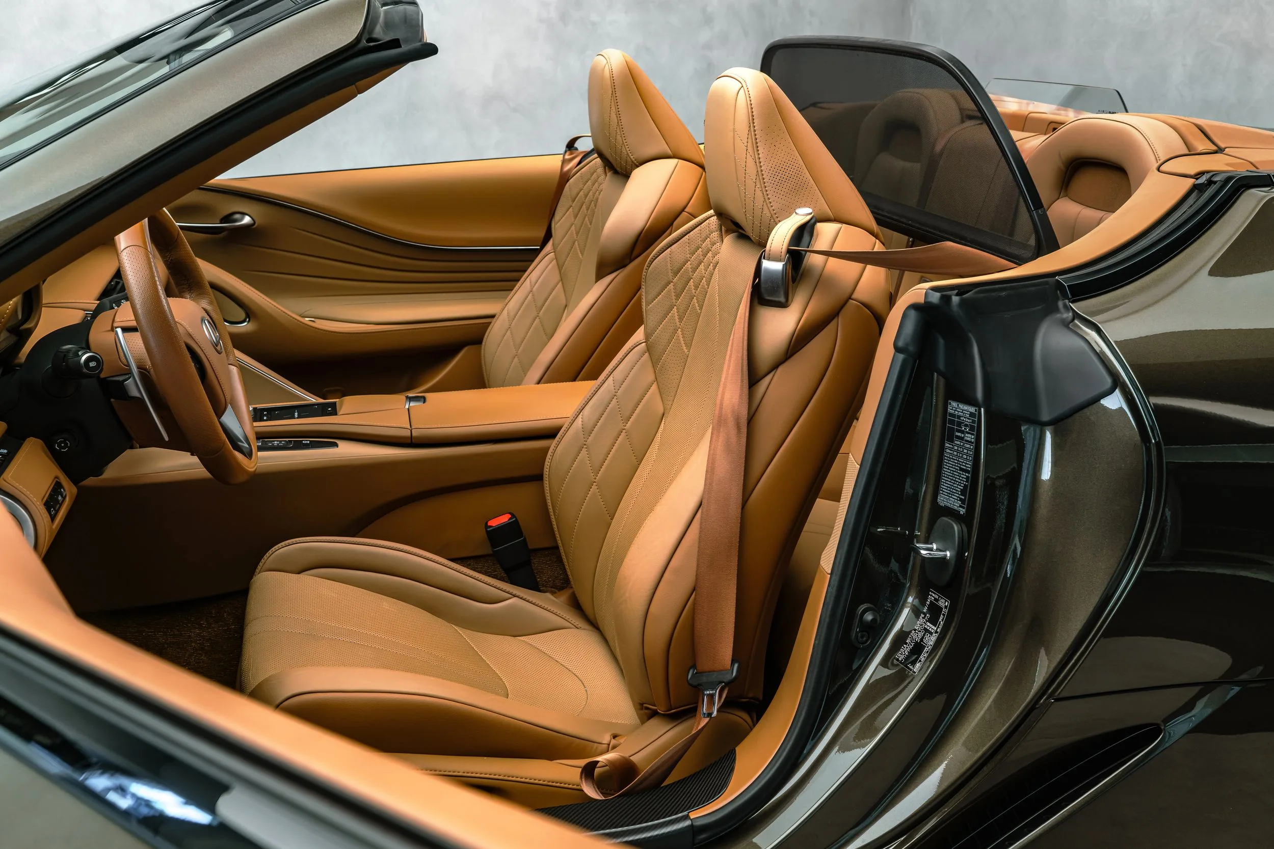 2022 Lexus LC 500 Convertible Performance, 16/22