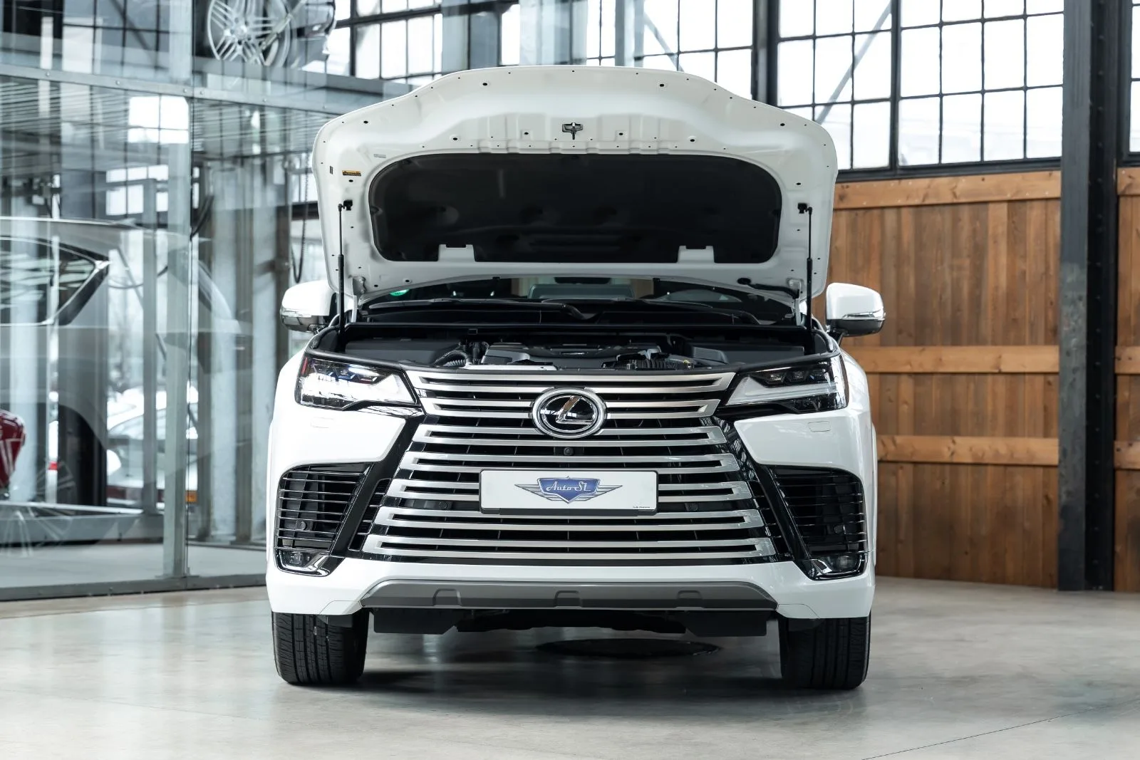 2022 Lexus LX 500 d, 20/30