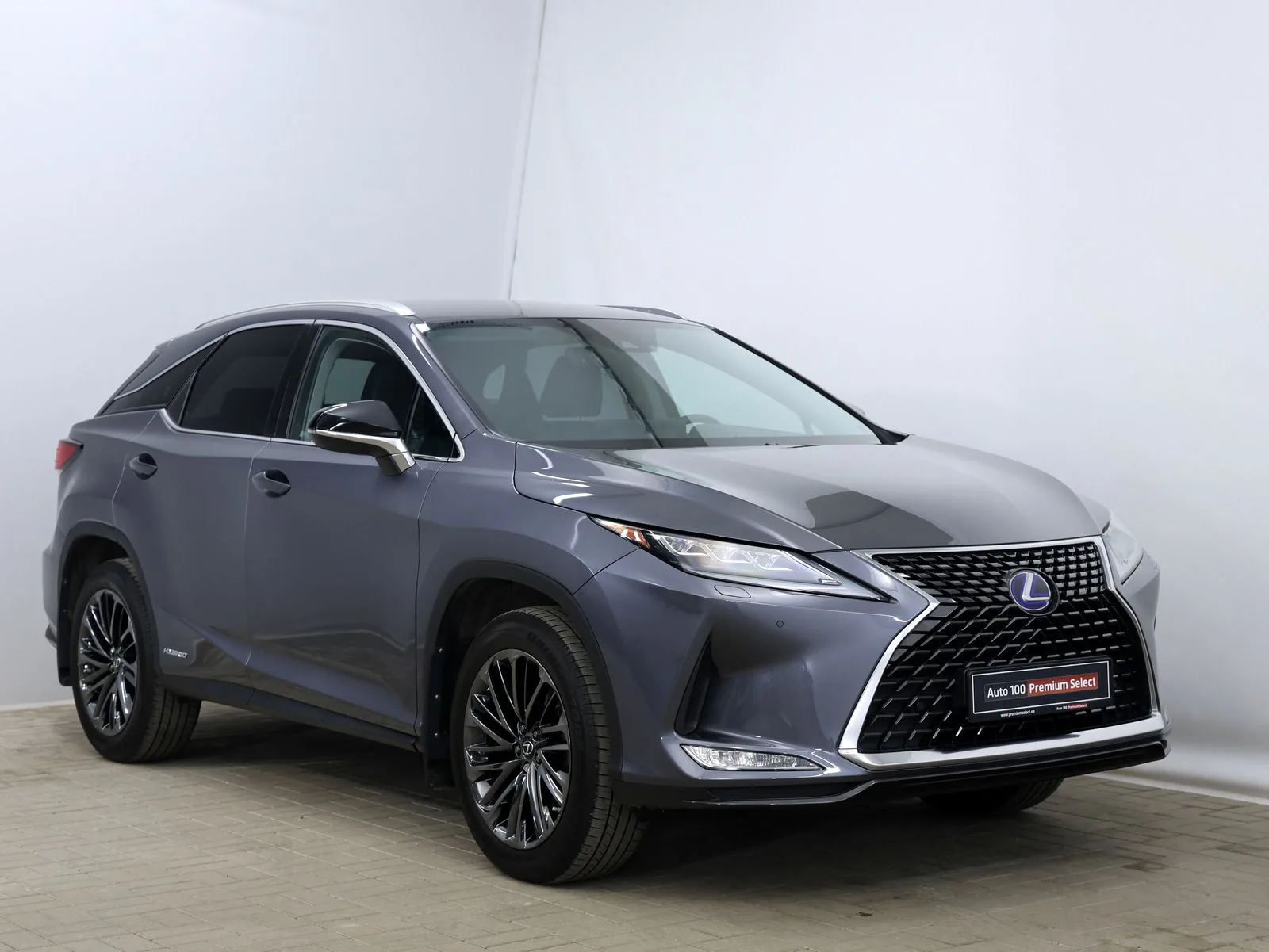 2022 Lexus RX 450h Sport Edition, 2/22