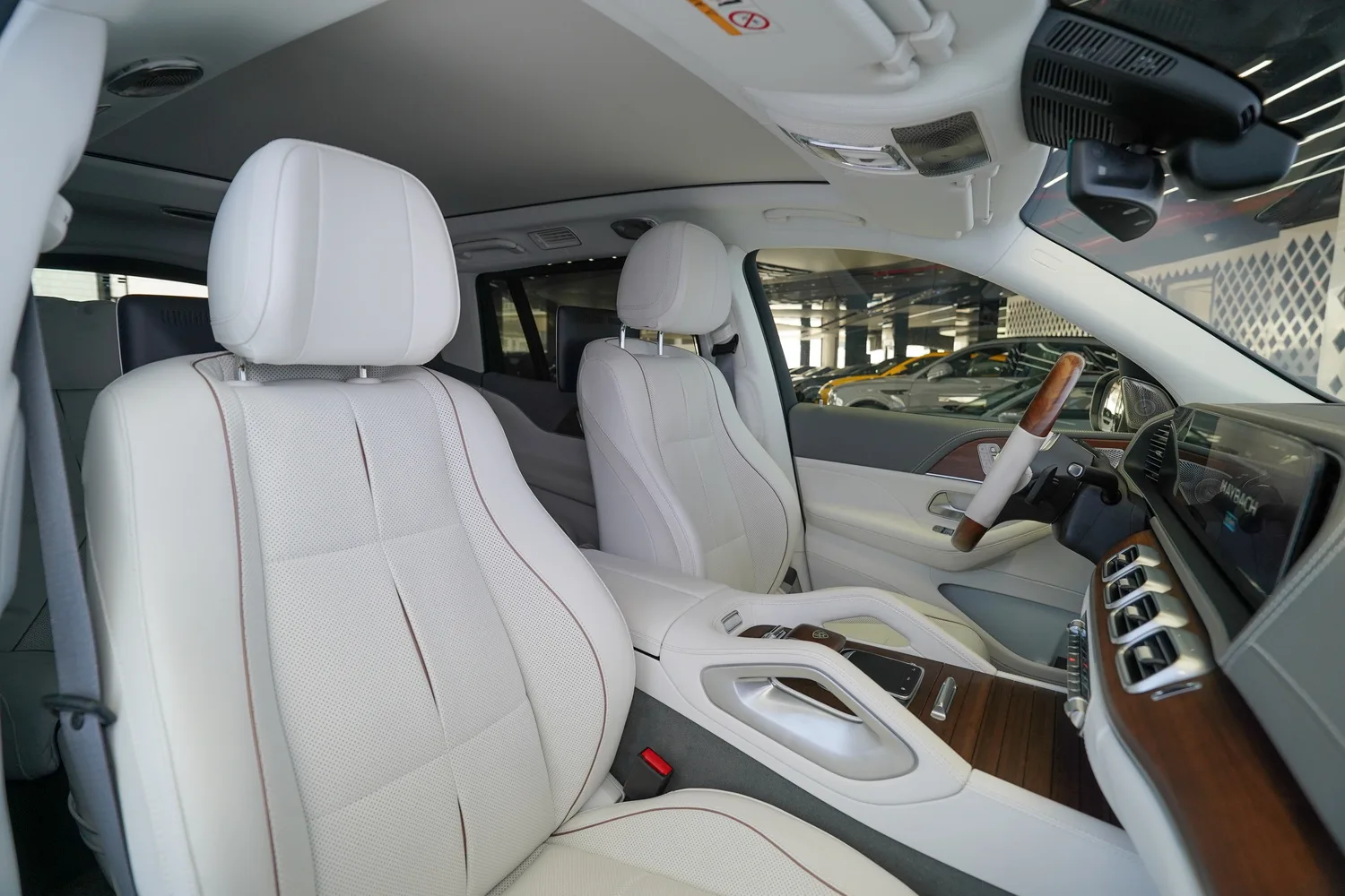 2022 Mercedes-Maybach GLS 600, 18/19