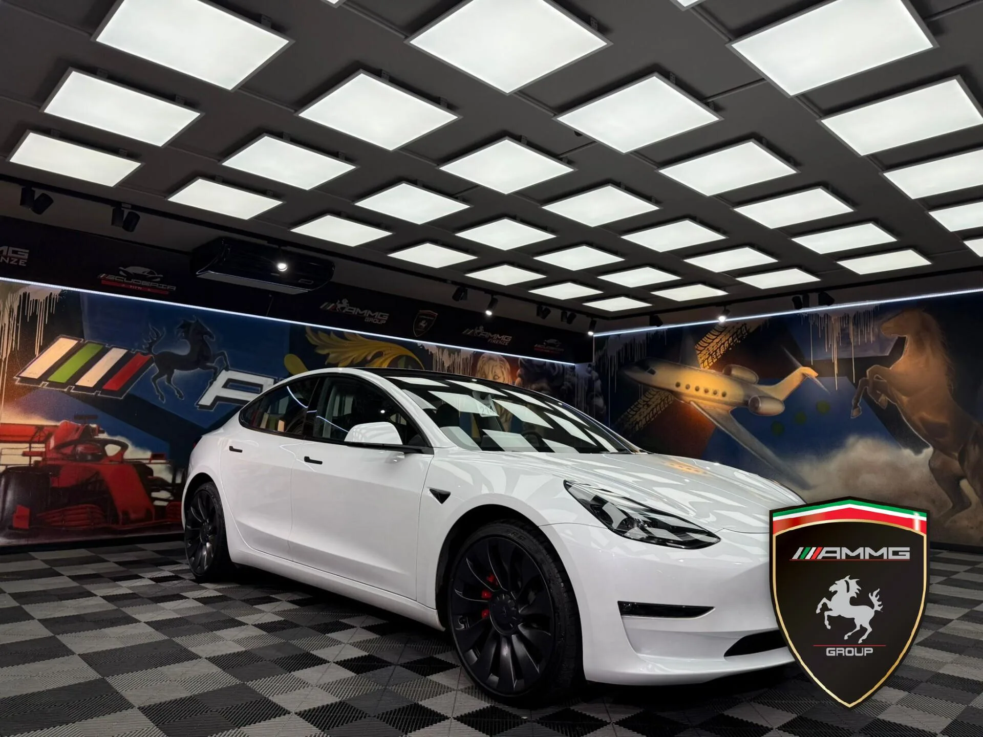 2022 Tesla Model 3 Performance, 3/15