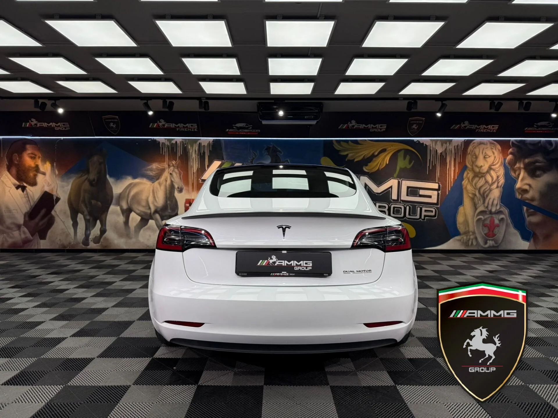 2022 Tesla Model 3 Performance, 6/15