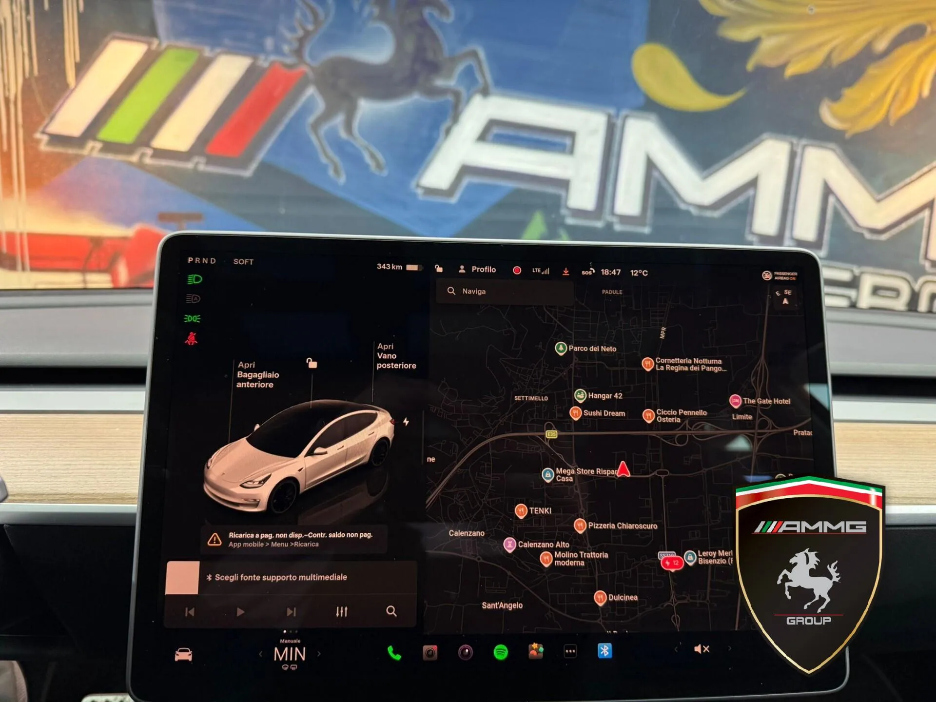 2022 Tesla Model 3 Performance, 13/15