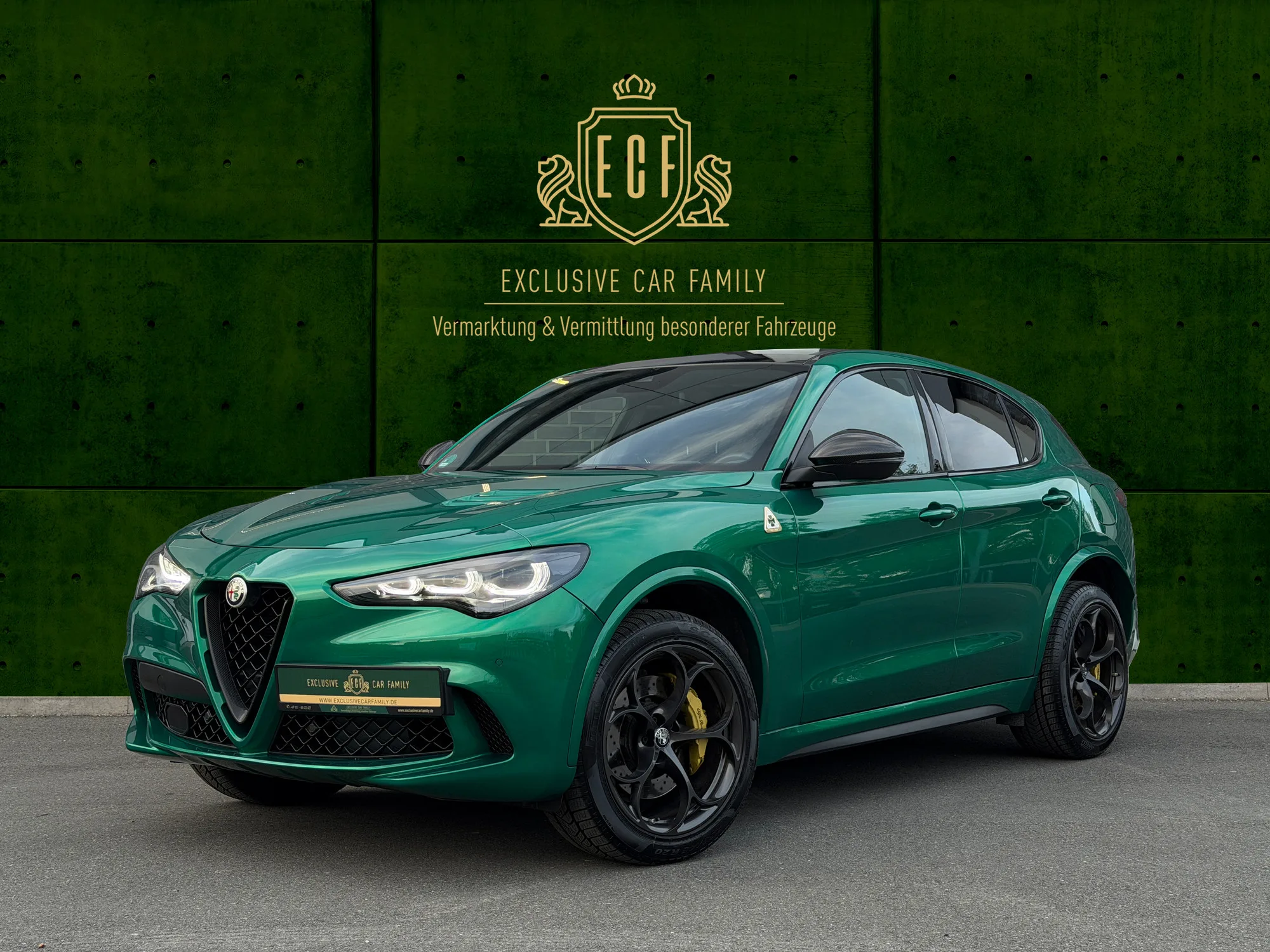 2023 Alfa Romeo Stelvio Quadrifoglio 100th Anniversary angeboten von einem Vermittler in Hessisch Oldendorf, Deutschland, Hauptfoto