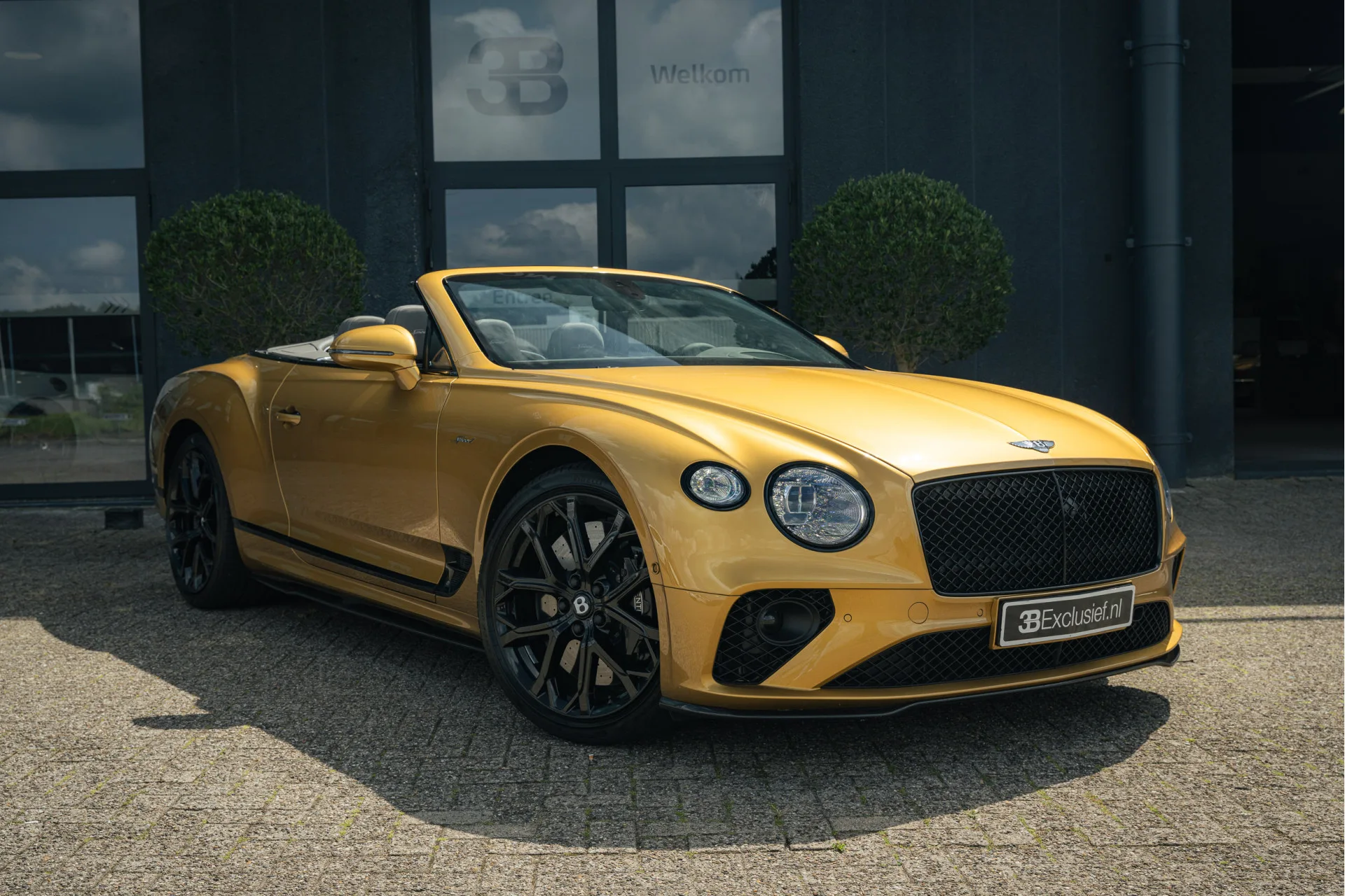 2023 Bentley Continental GTC Speed, 2/30