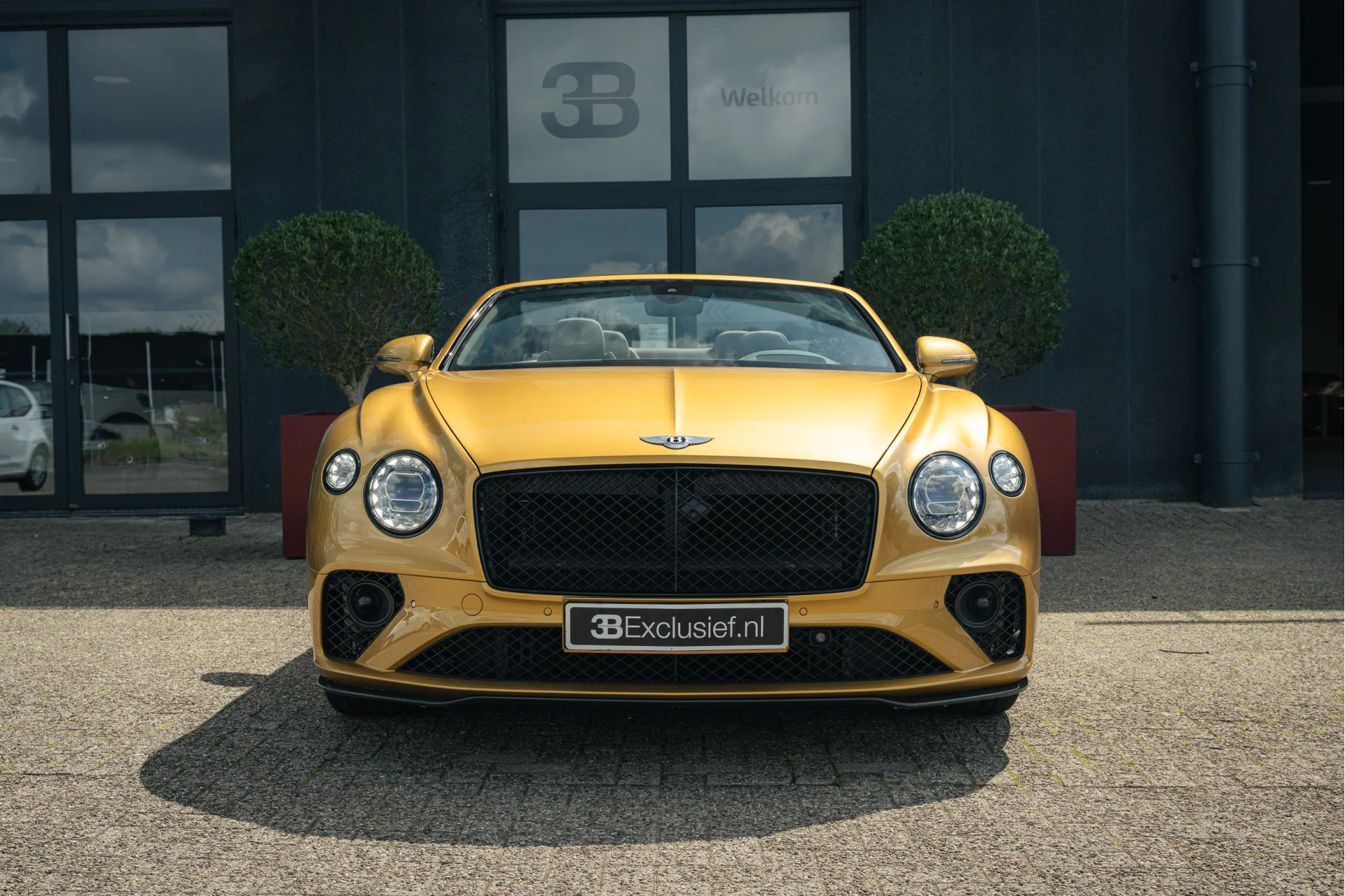 2023 Bentley Continental GTC Speed, 30/30