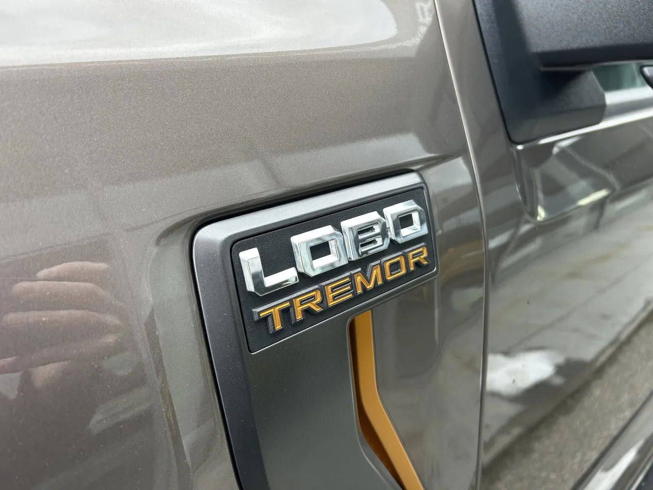 2023 Ford F-150 Tremor angeboten von einem Fachhändler in Písek, Tschechien, Foto 9 von 42