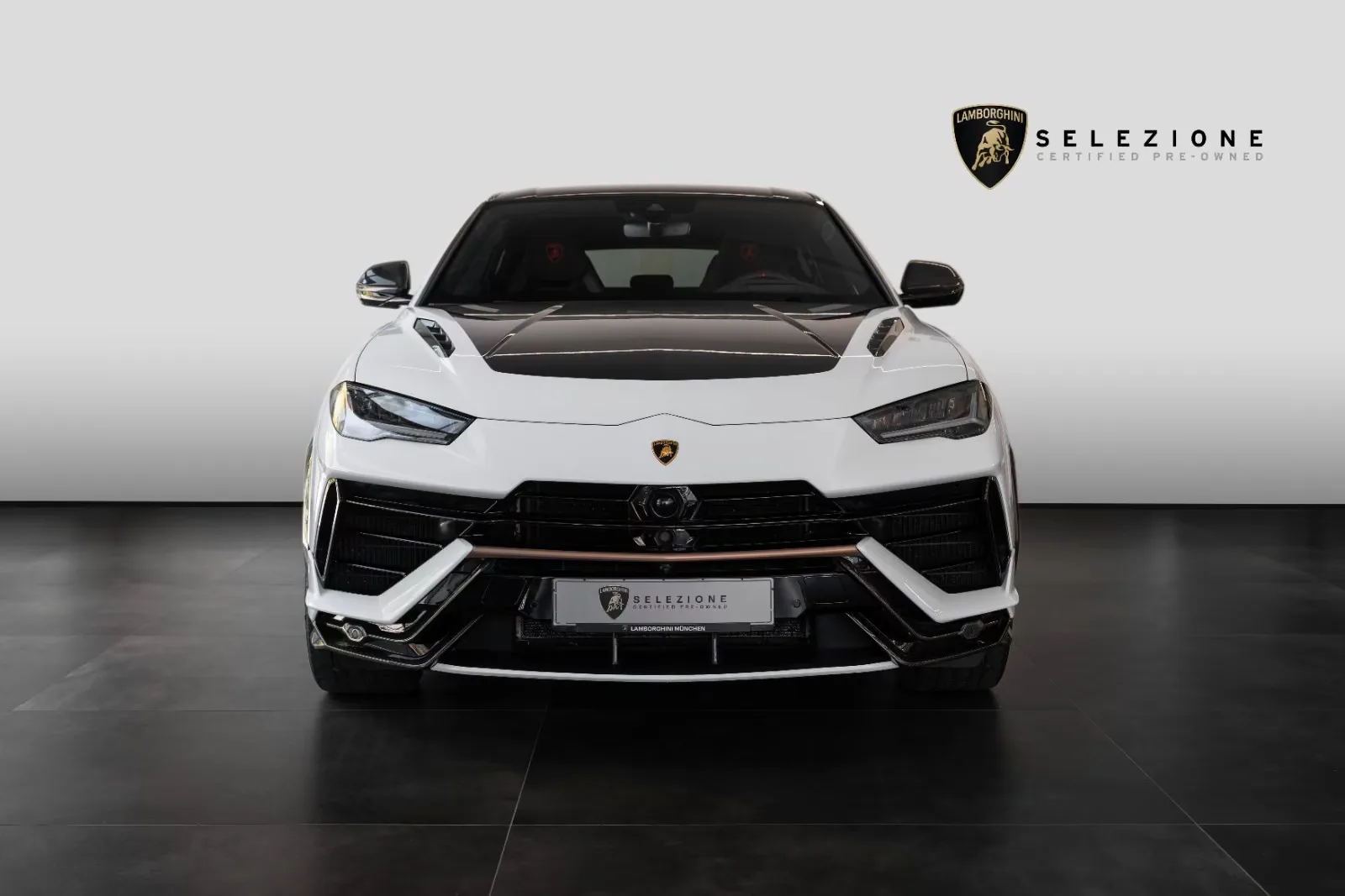 2023 Lamborghini Urus Performante, 5/20