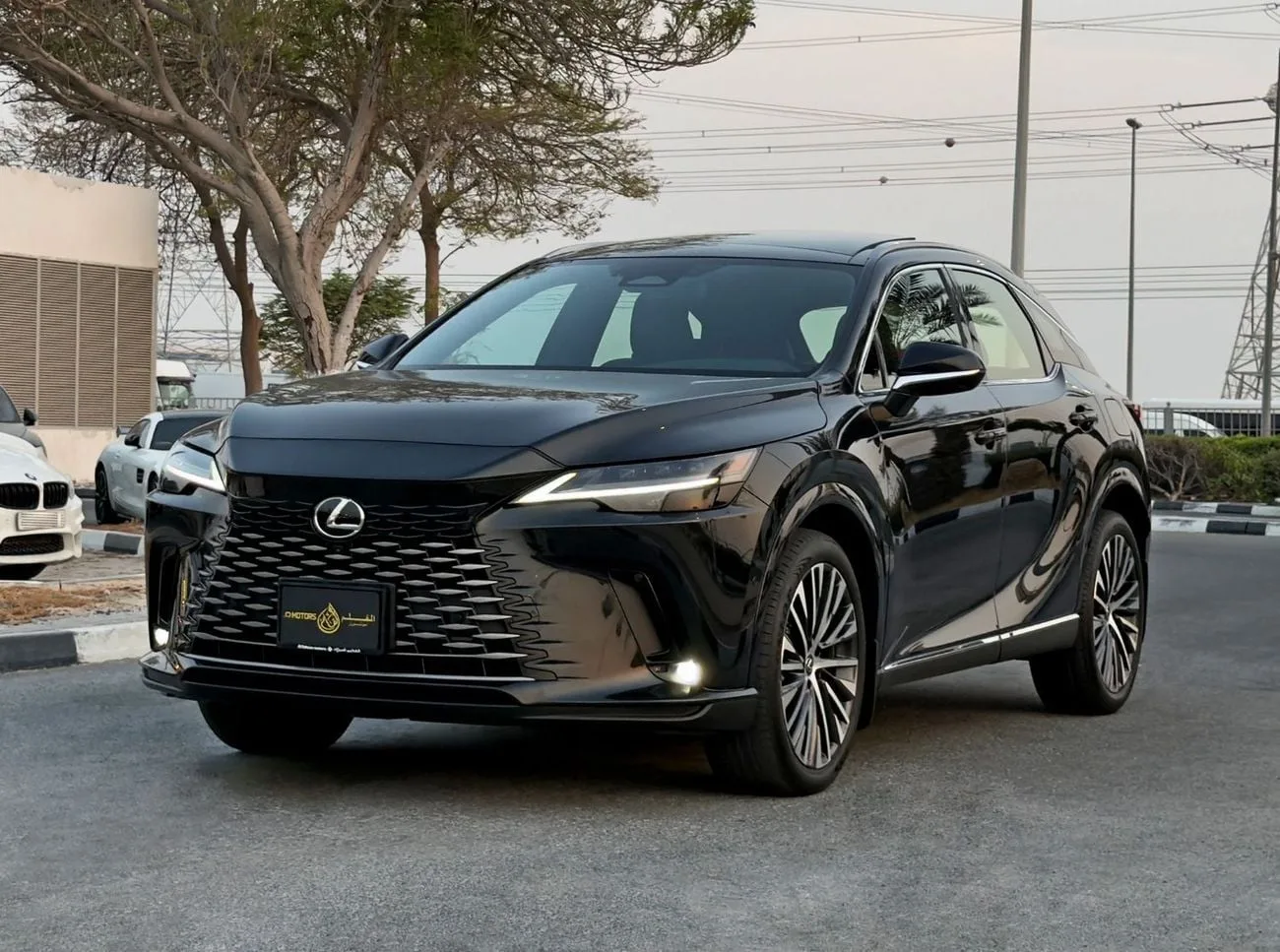 2023 Lexus RX350h Platinum offered by a specialist dealer in Dubai, United Arab Emirates, main photo