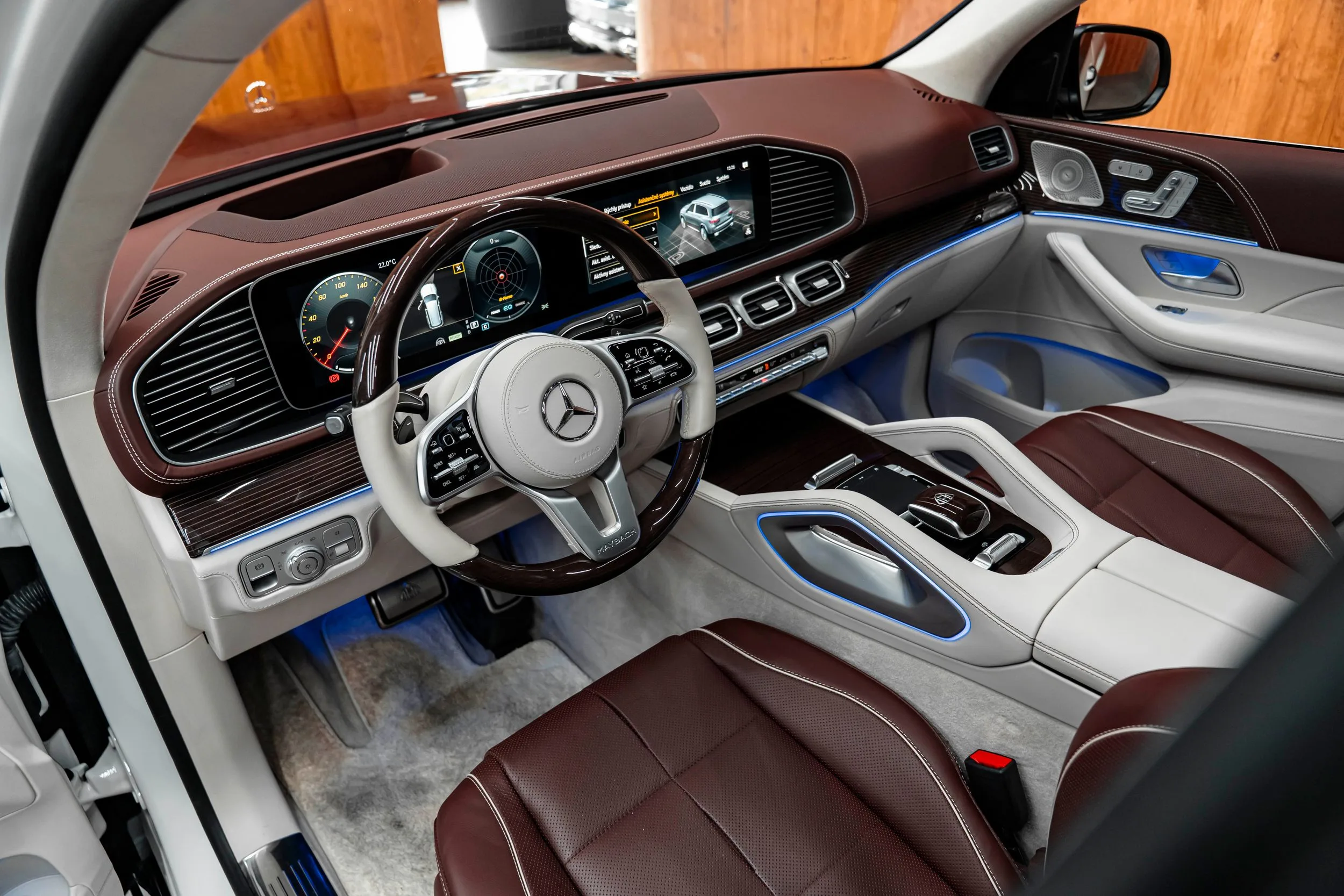 2023 Mercedes-Maybach GLS 600, 10/30