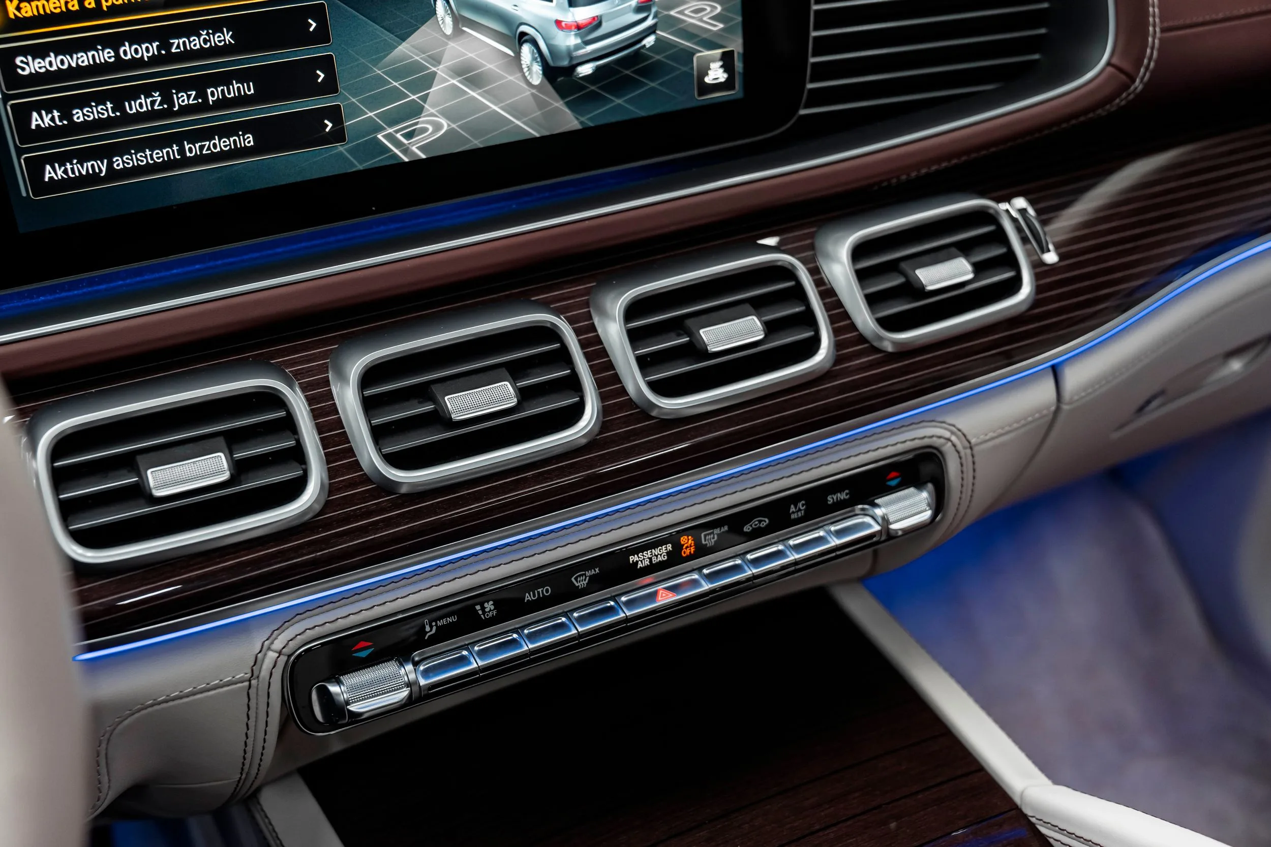 2023 Mercedes-Maybach GLS 600, 14/30