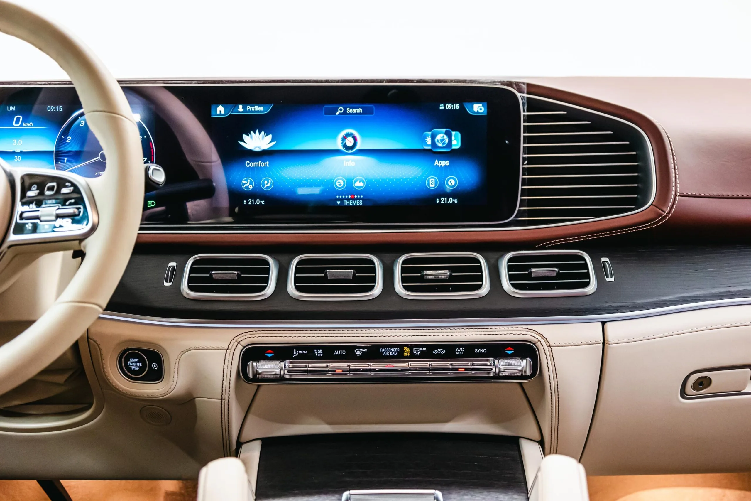 2023 Mercedes-Maybach GLS 600, 13/30