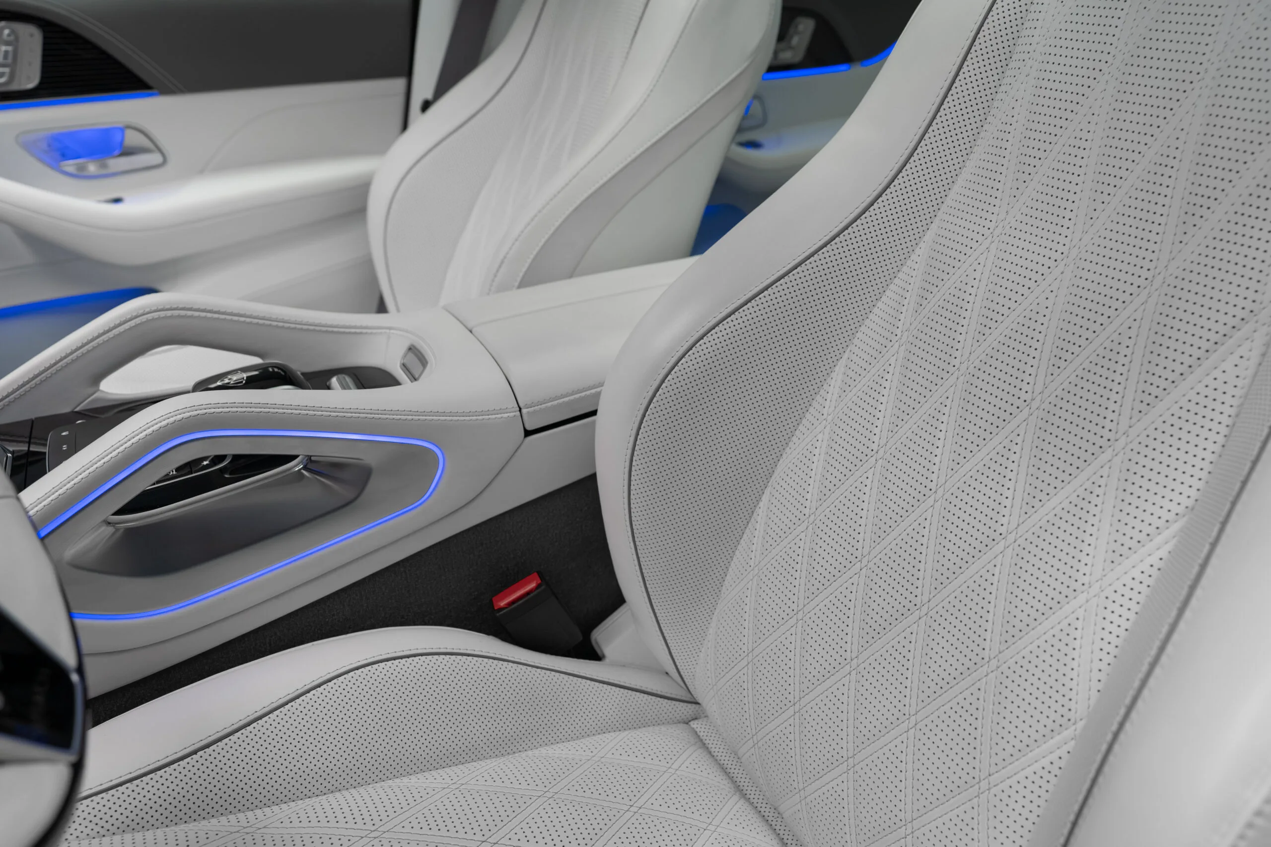 2023 Mercedes-Maybach GLS 600 4MATIC, 26/30