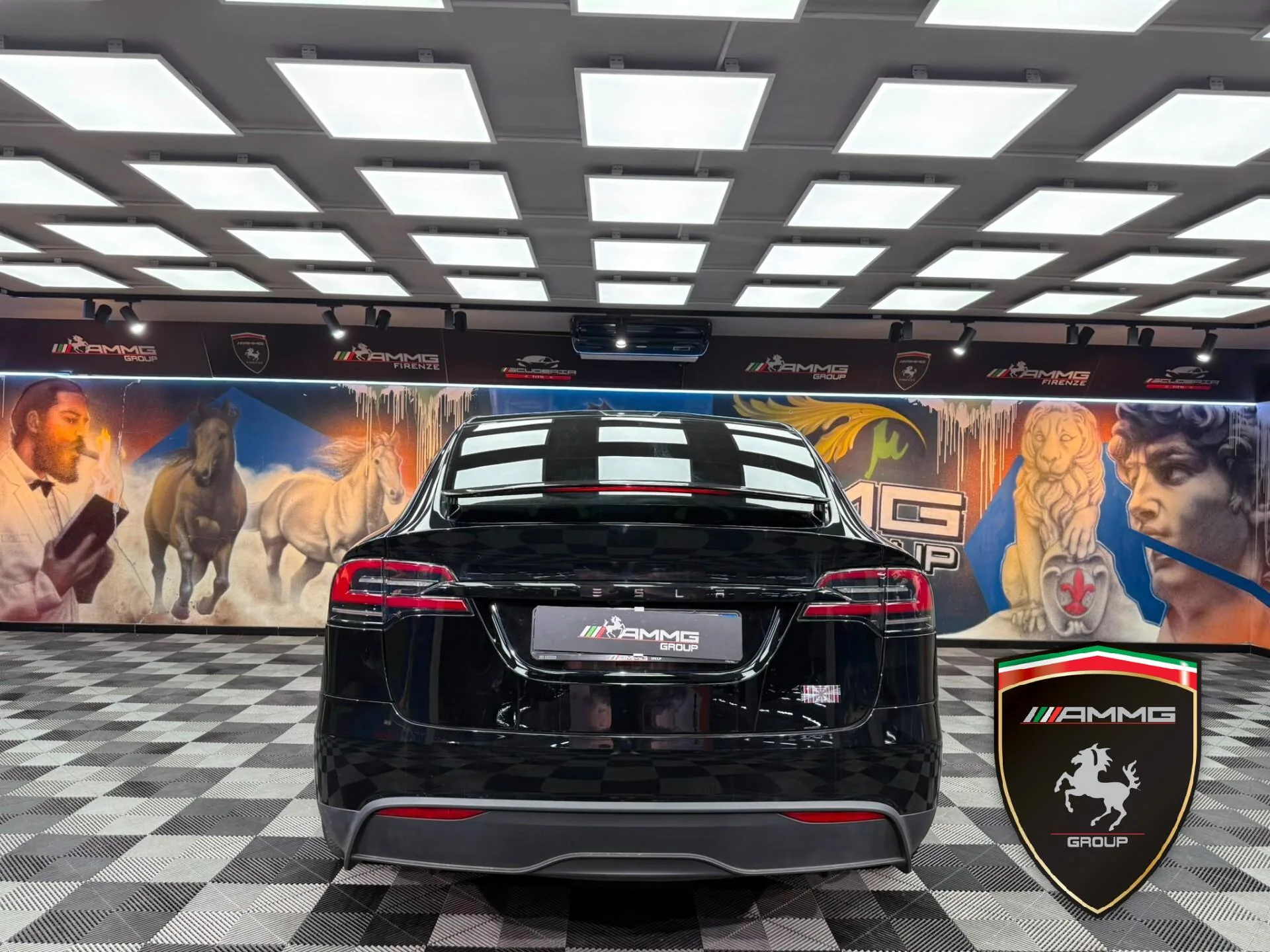 2023 Tesla Model X Plaid, 6/15
