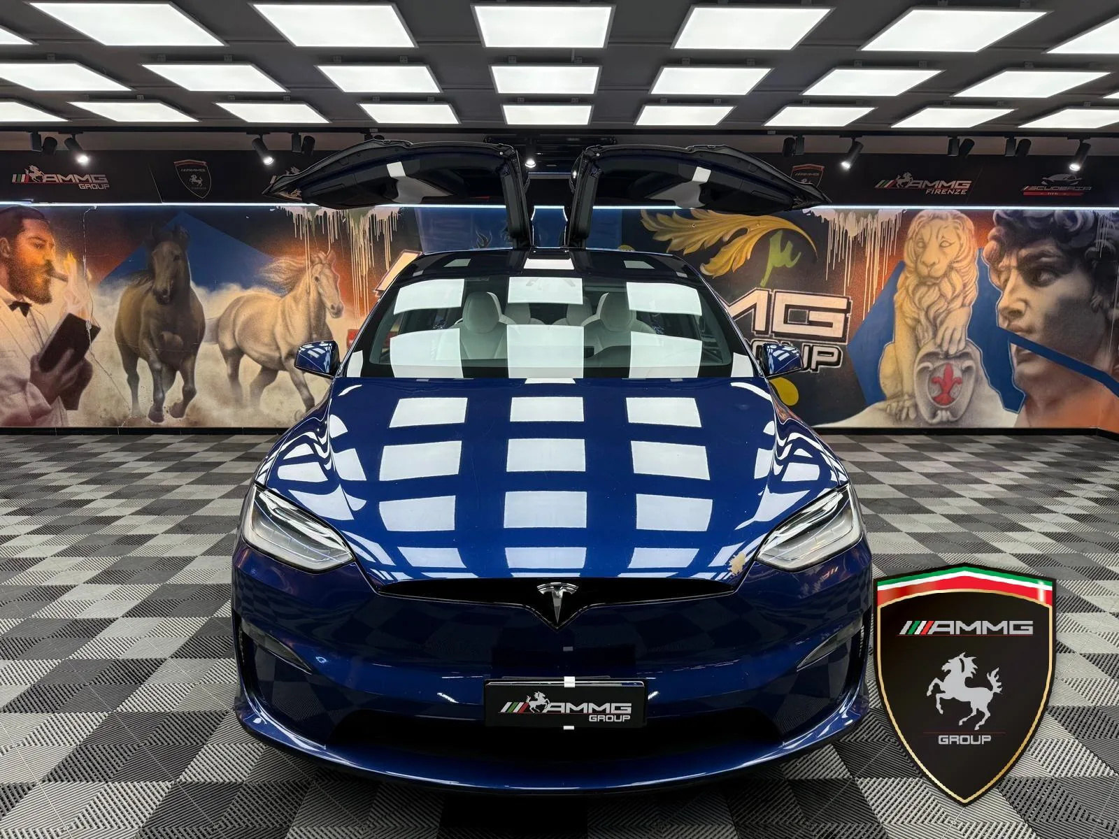 2023 Tesla Model X Plaid, 2/15