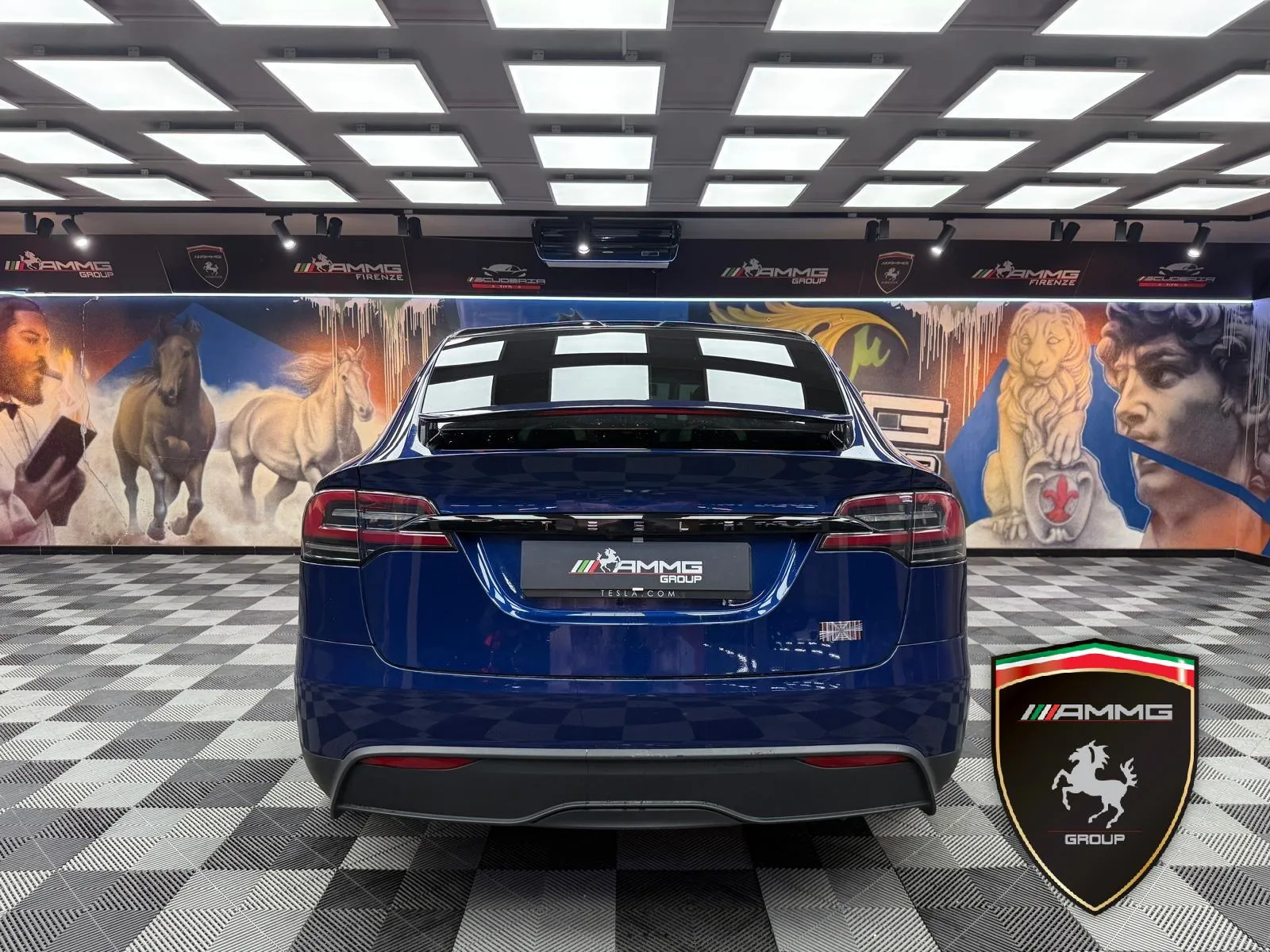 2023 Tesla Model X Plaid, 6/15
