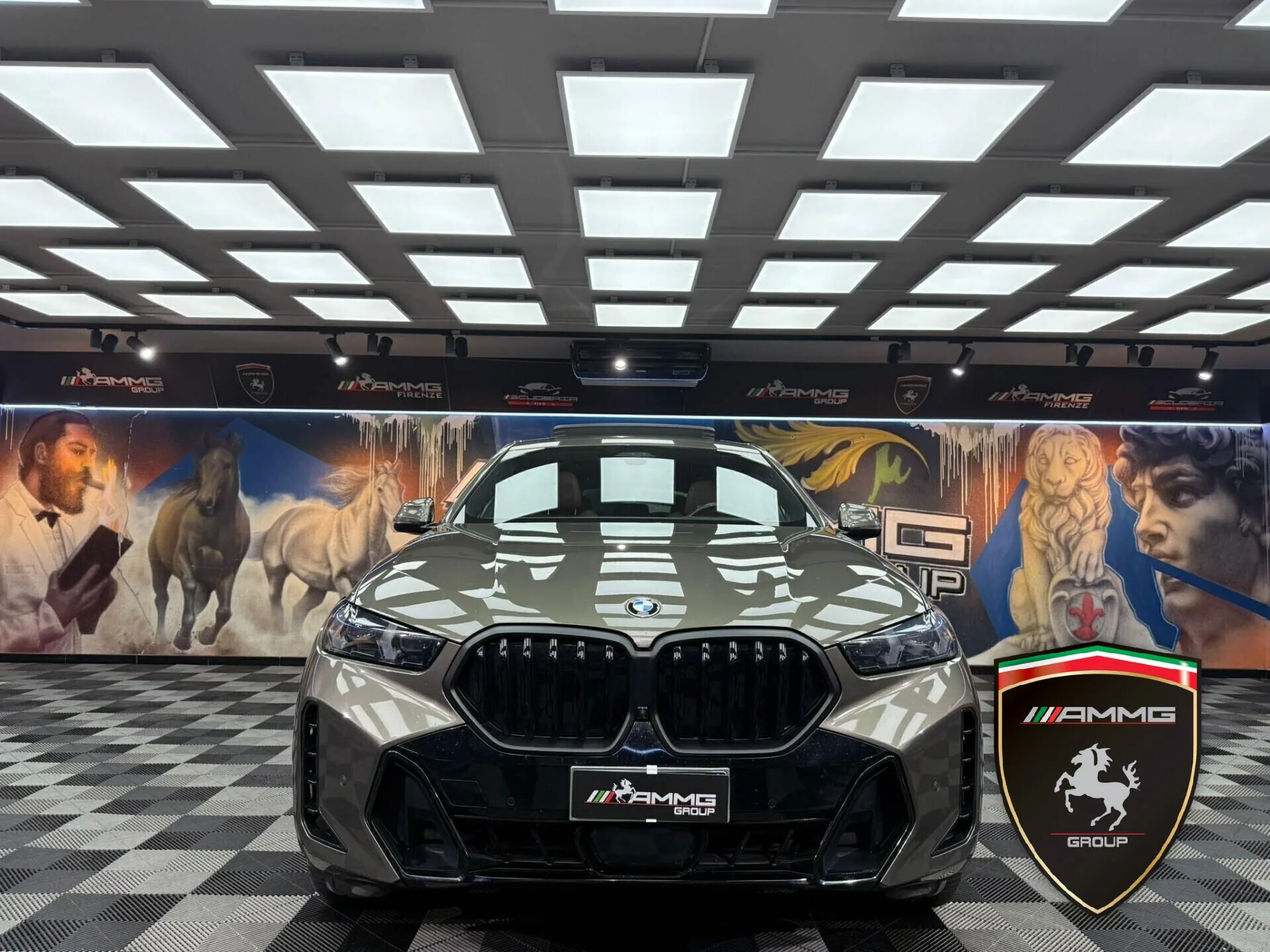 2024 BMW X6 xDrive30d M Sport Pro, 2/15