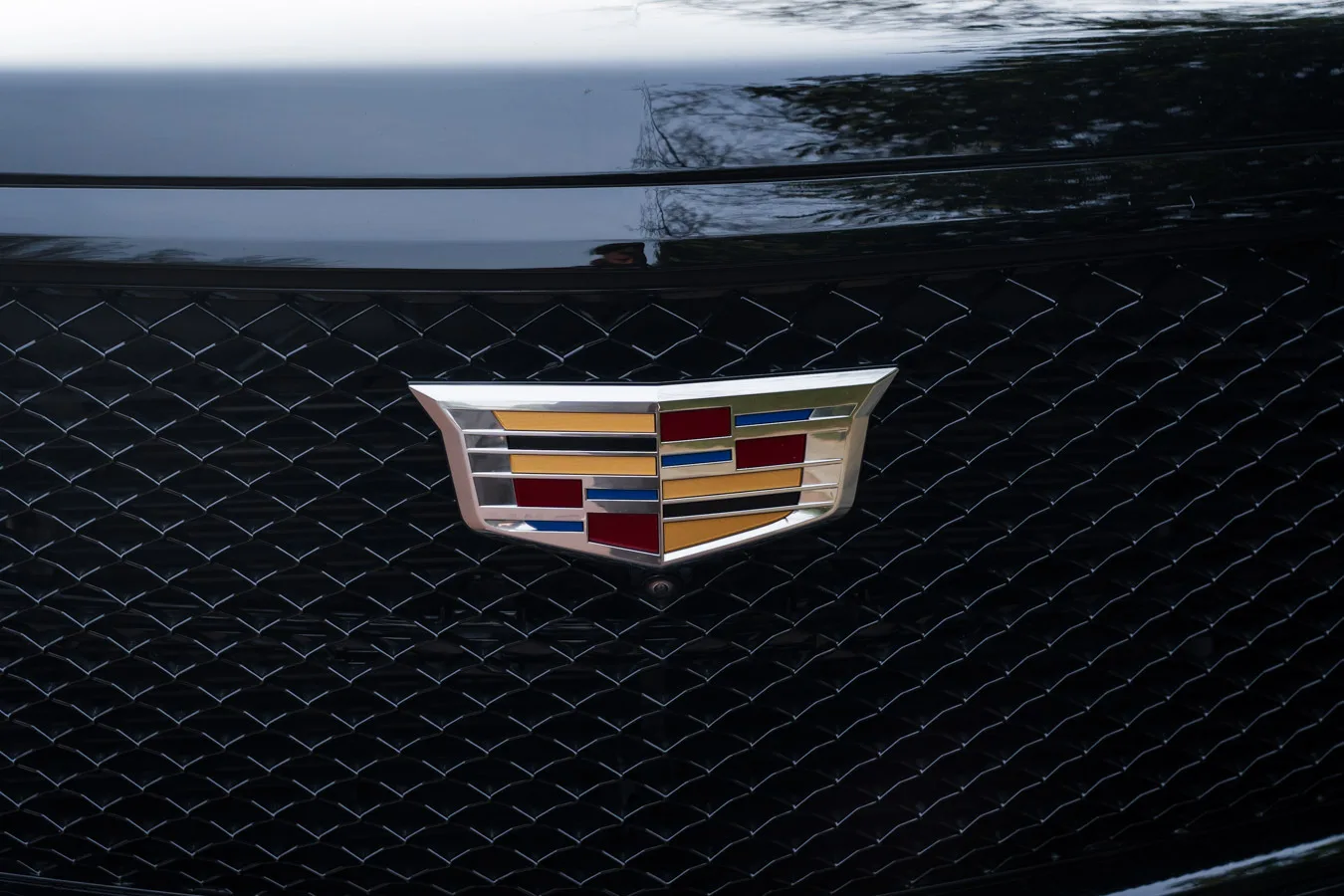 2024 Cadillac Escalade Sport Platinum, 16/30