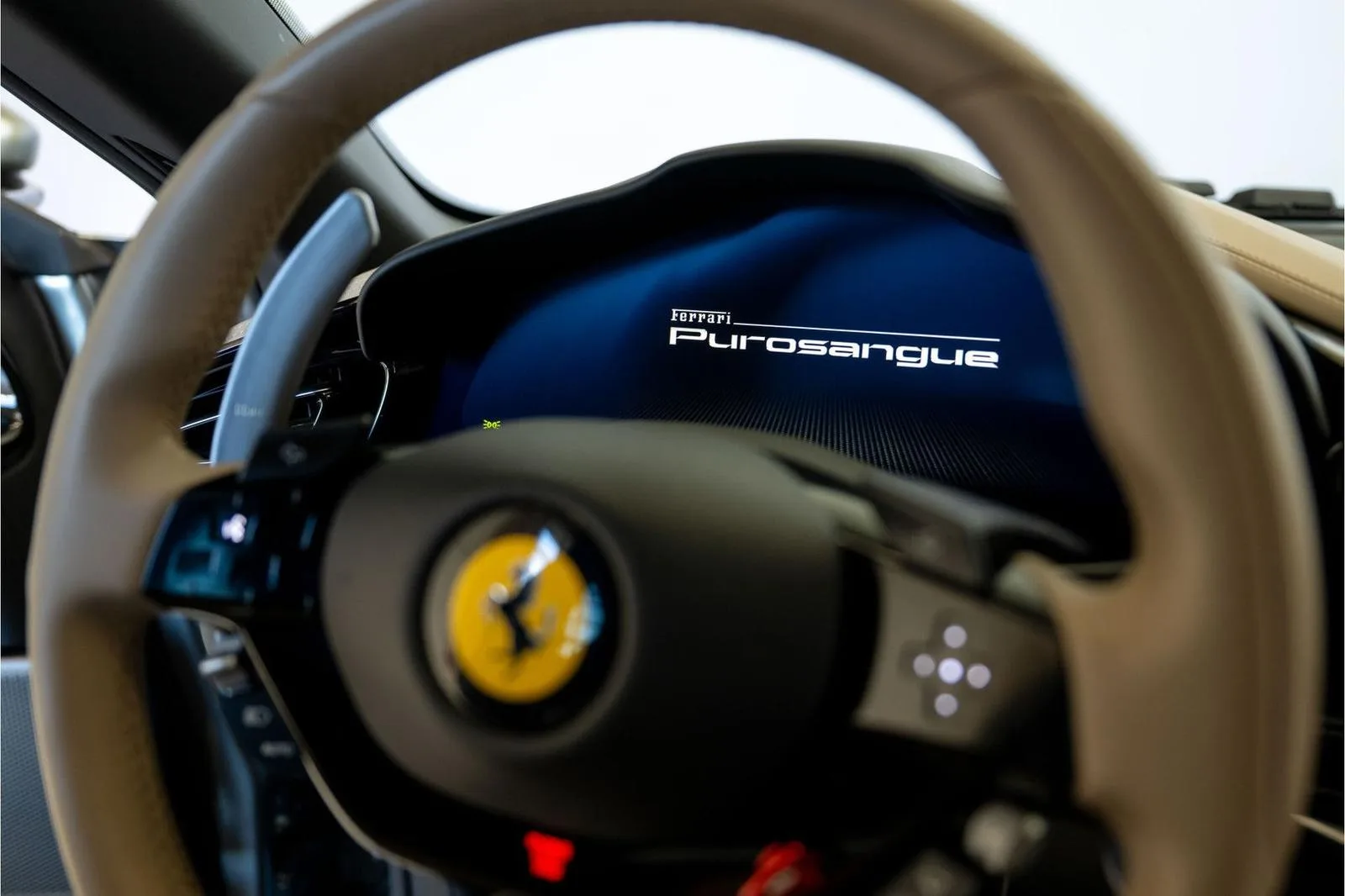 2024 Ferrari Purosangue, 14/25
