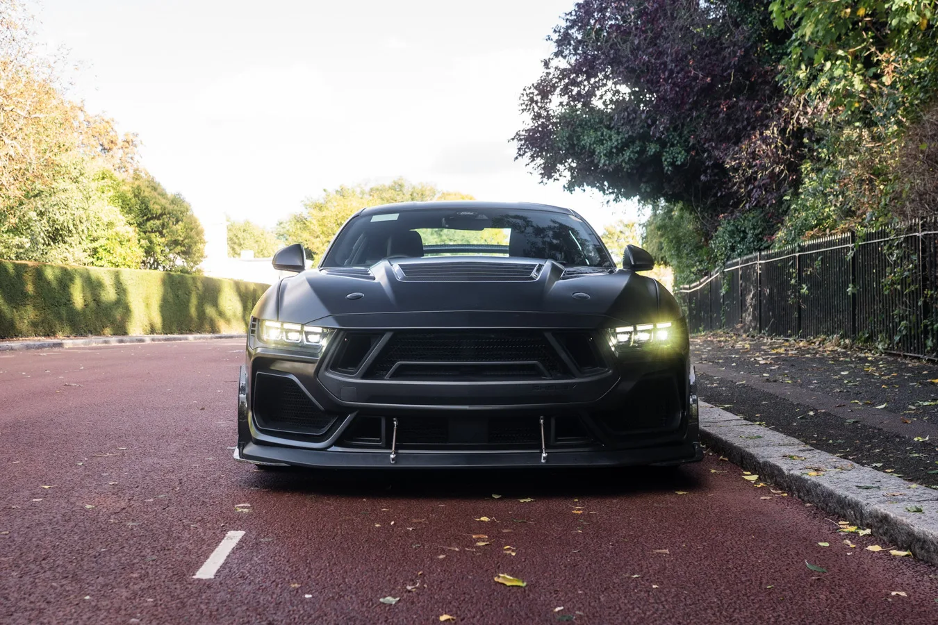 2024 Ford Shelby Mustang Super Snake, 2/30