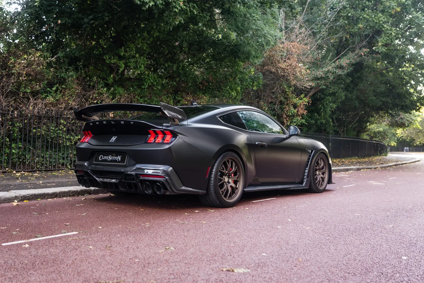 2024 Ford Shelby Mustang Super Snake, 4/30