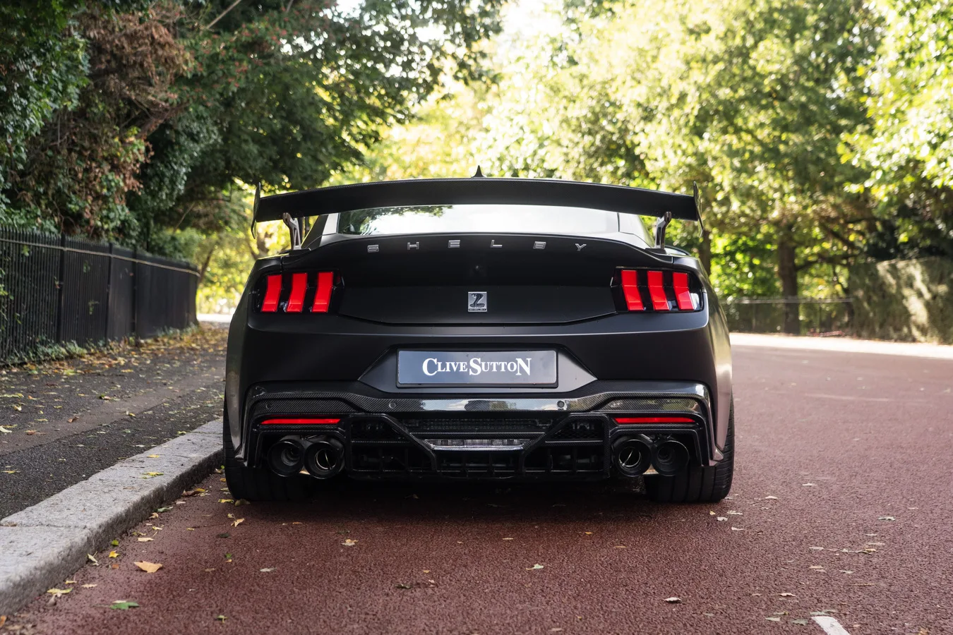 2024 Ford Shelby Mustang Super Snake, 5/30