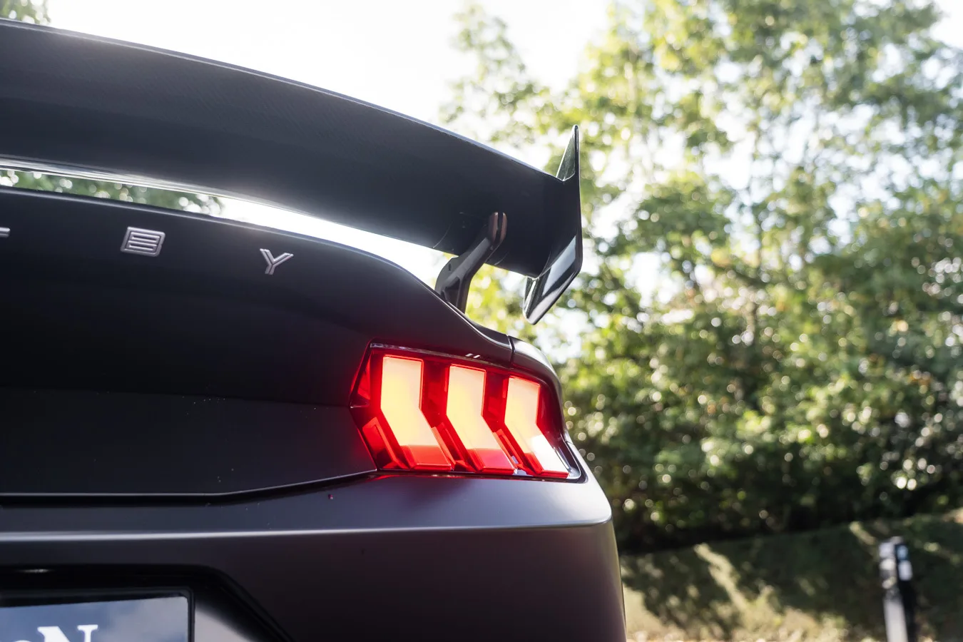 2024 Ford Shelby Mustang Super Snake, 13/30