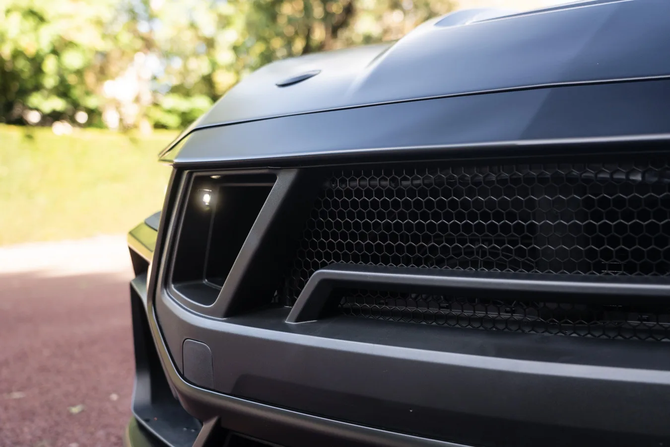 2024 Ford Shelby Mustang Super Snake, 19/30