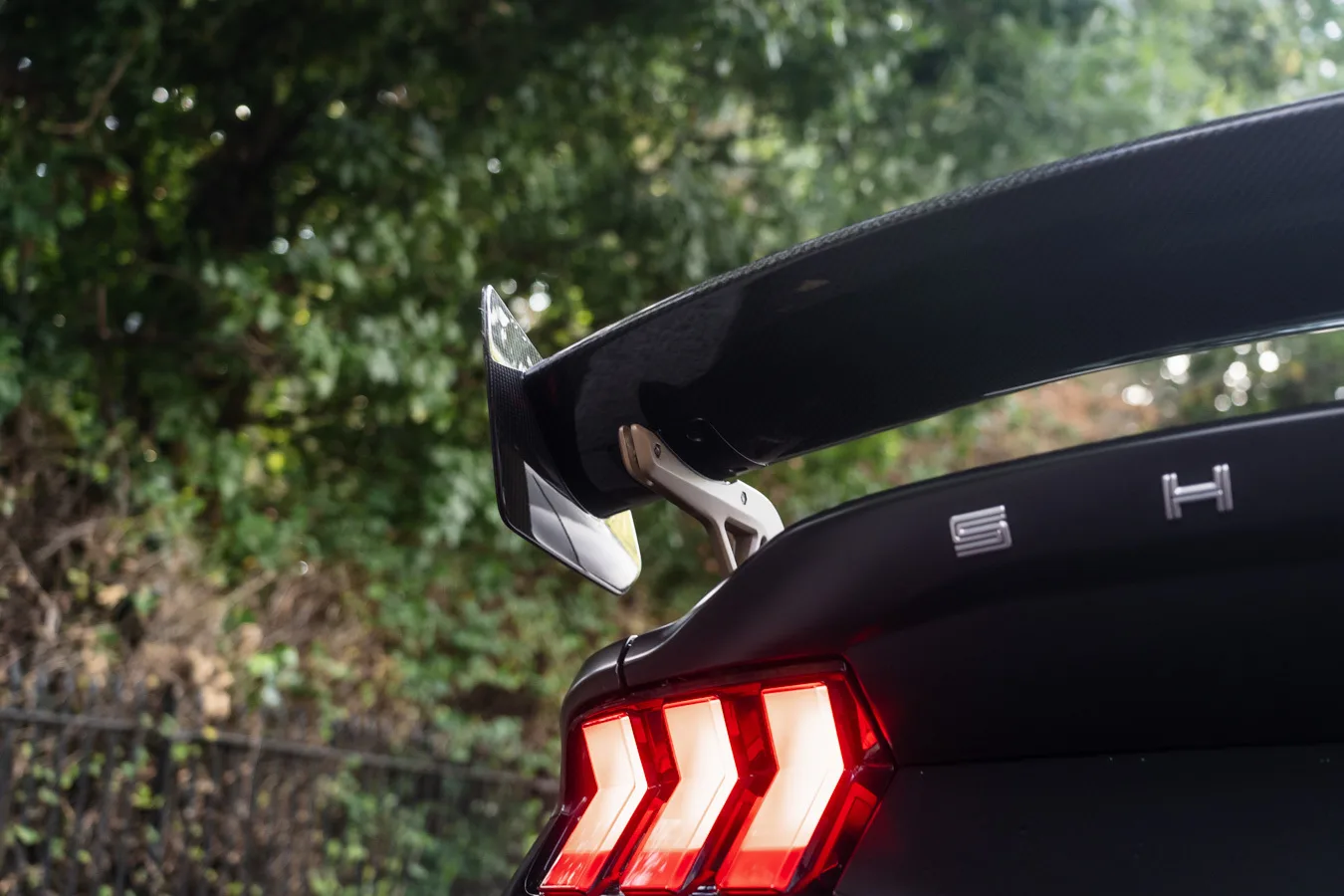 2024 Ford Shelby Mustang Super Snake, 25/30