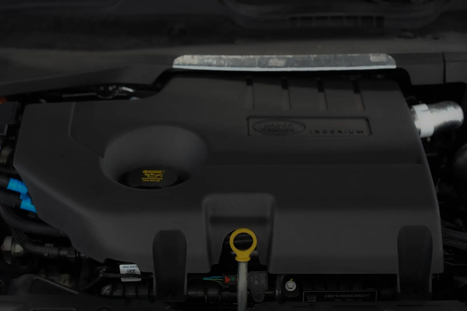 2024 Land Rover Range Rover Evoque Dynamic SE, 25/26