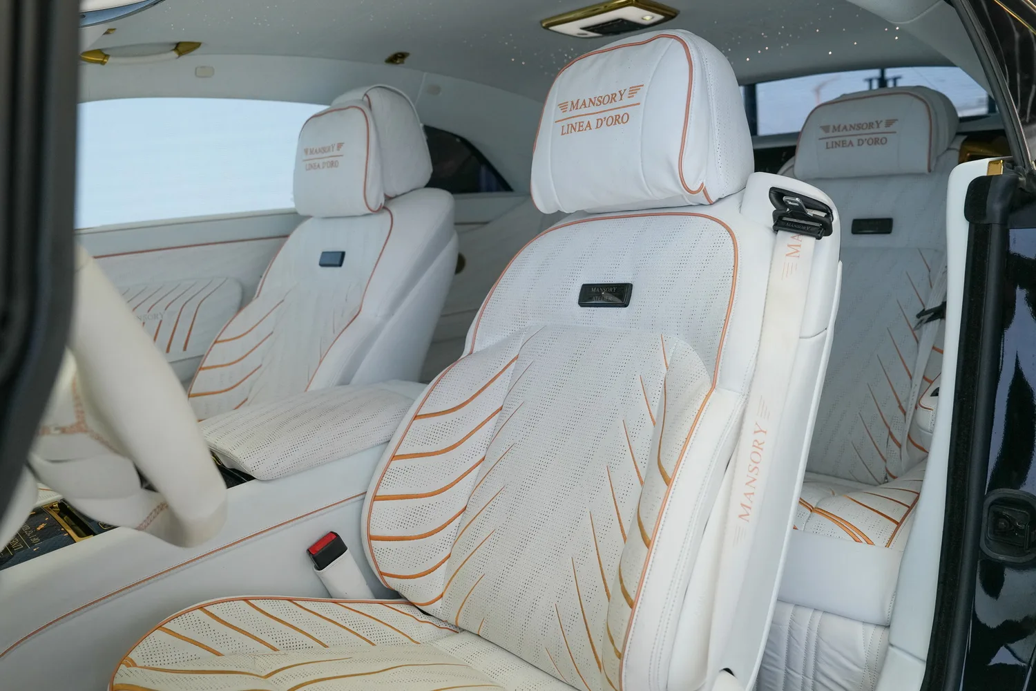 2024 Rolls-Royce Spectre by Mansory Linea d'Oro, 3/19