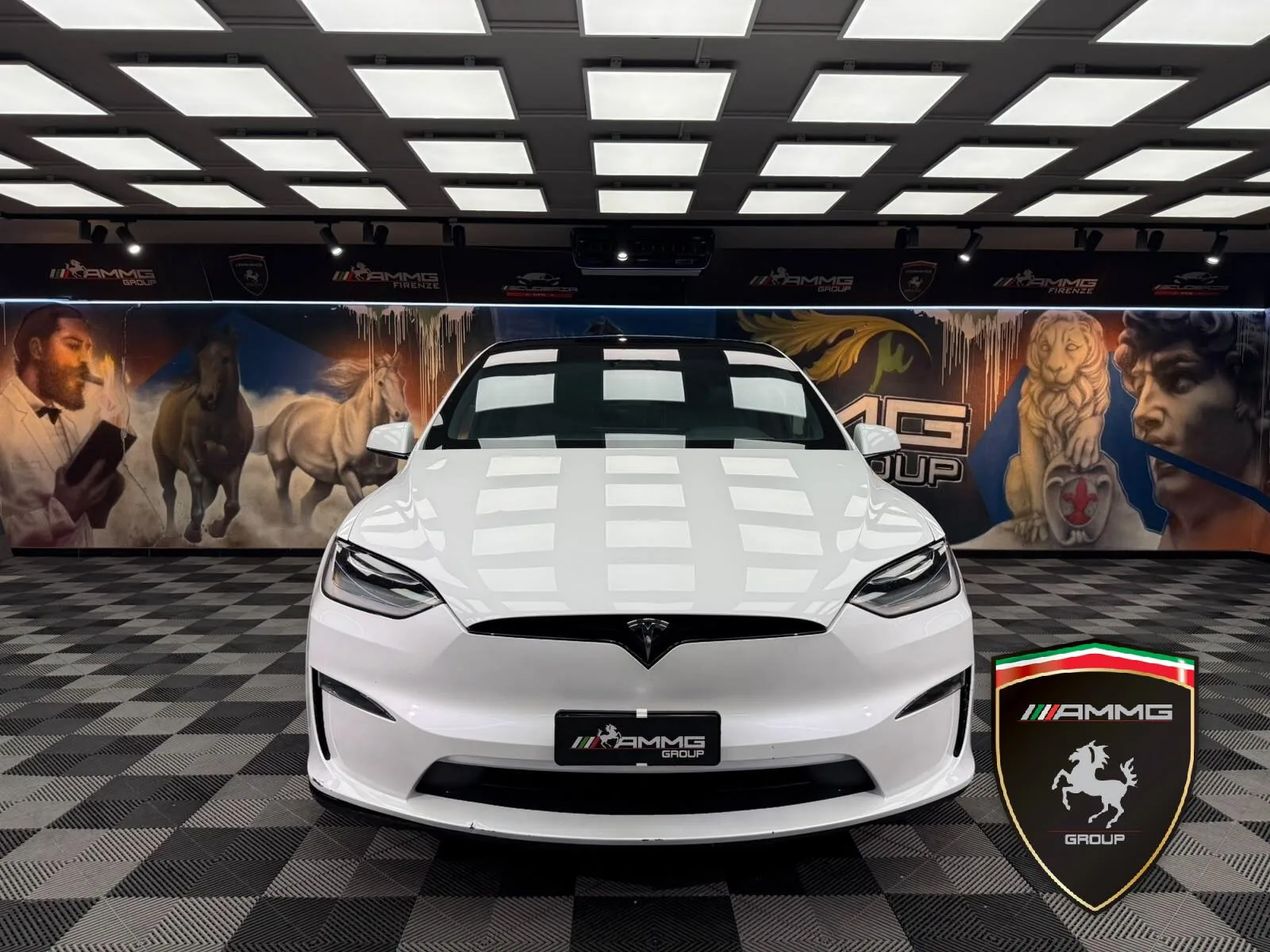 2024 Tesla Model X Long Range, 2/15