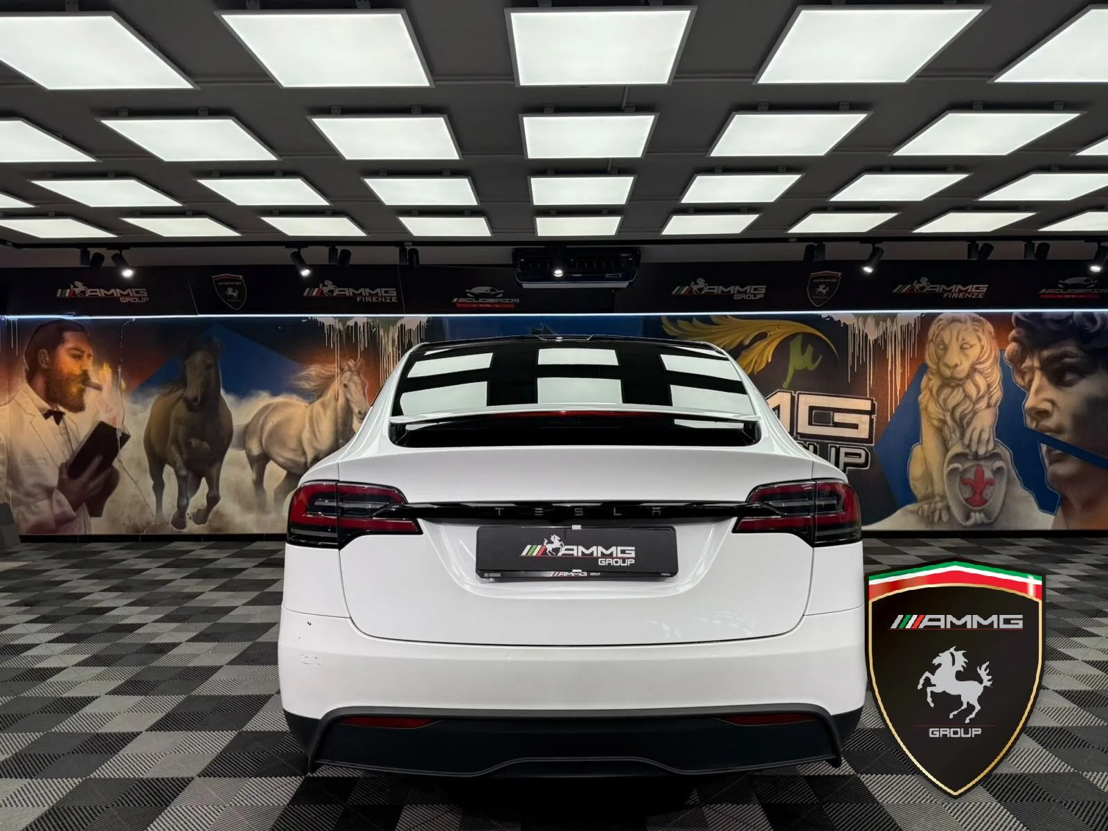 2024 Tesla Model X Long Range, 6/15