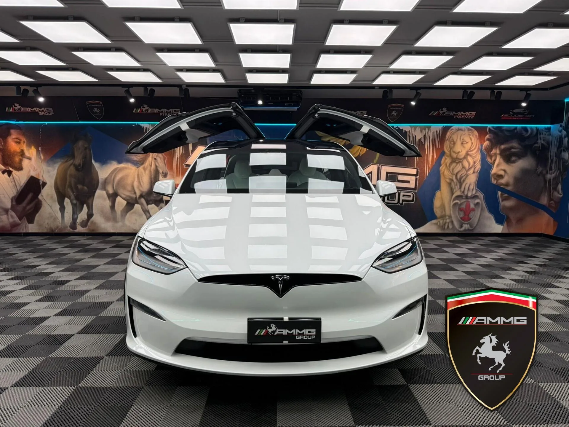 2024 Tesla Model X Long Range, 2/15