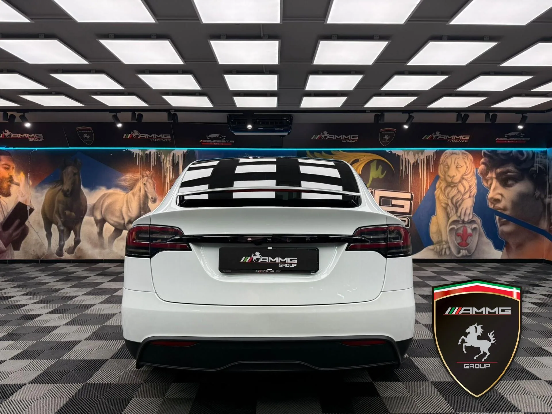 2024 Tesla Model X Long Range, 6/15