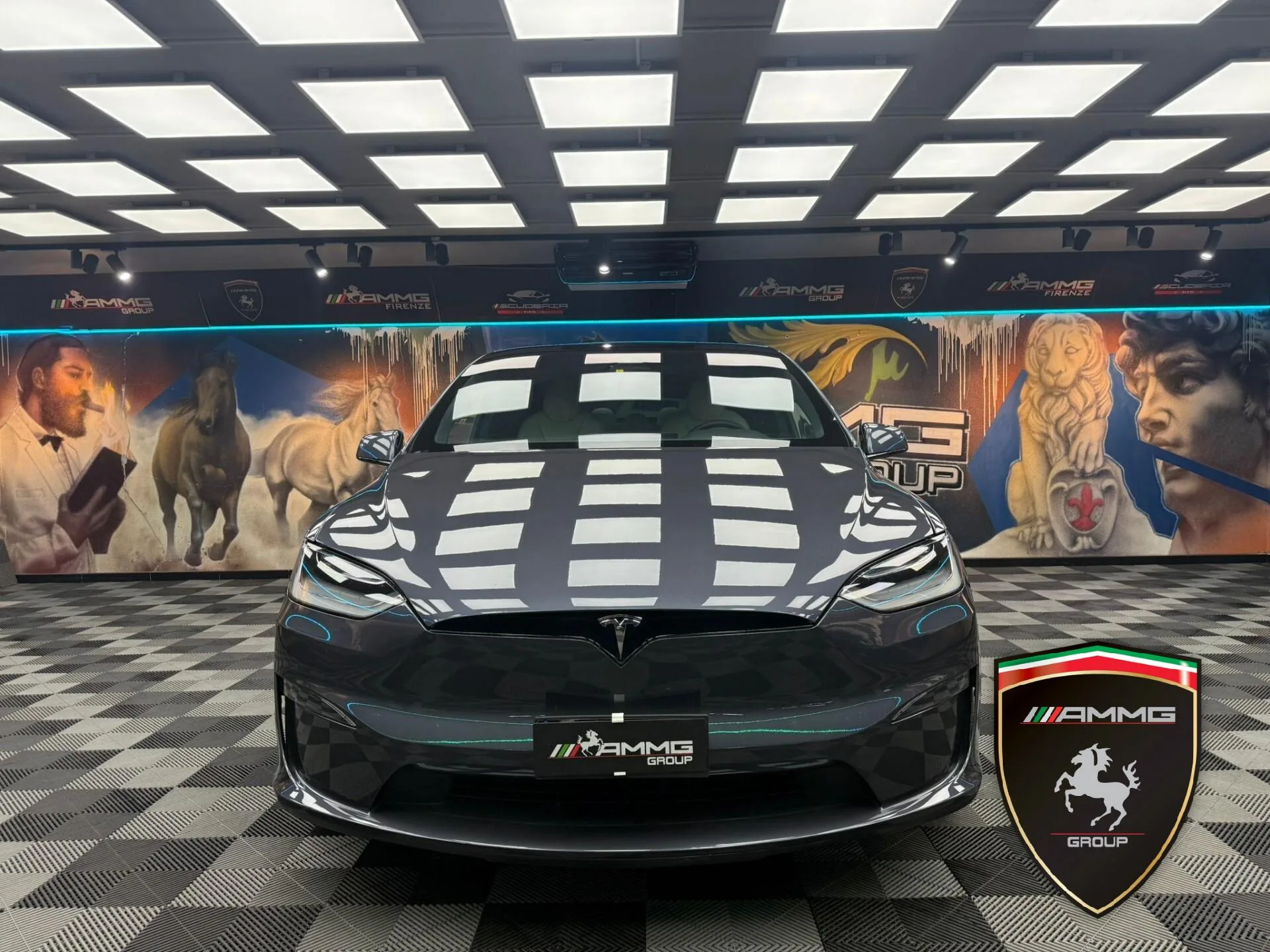 2024 Tesla Model X Long Range, 2/15