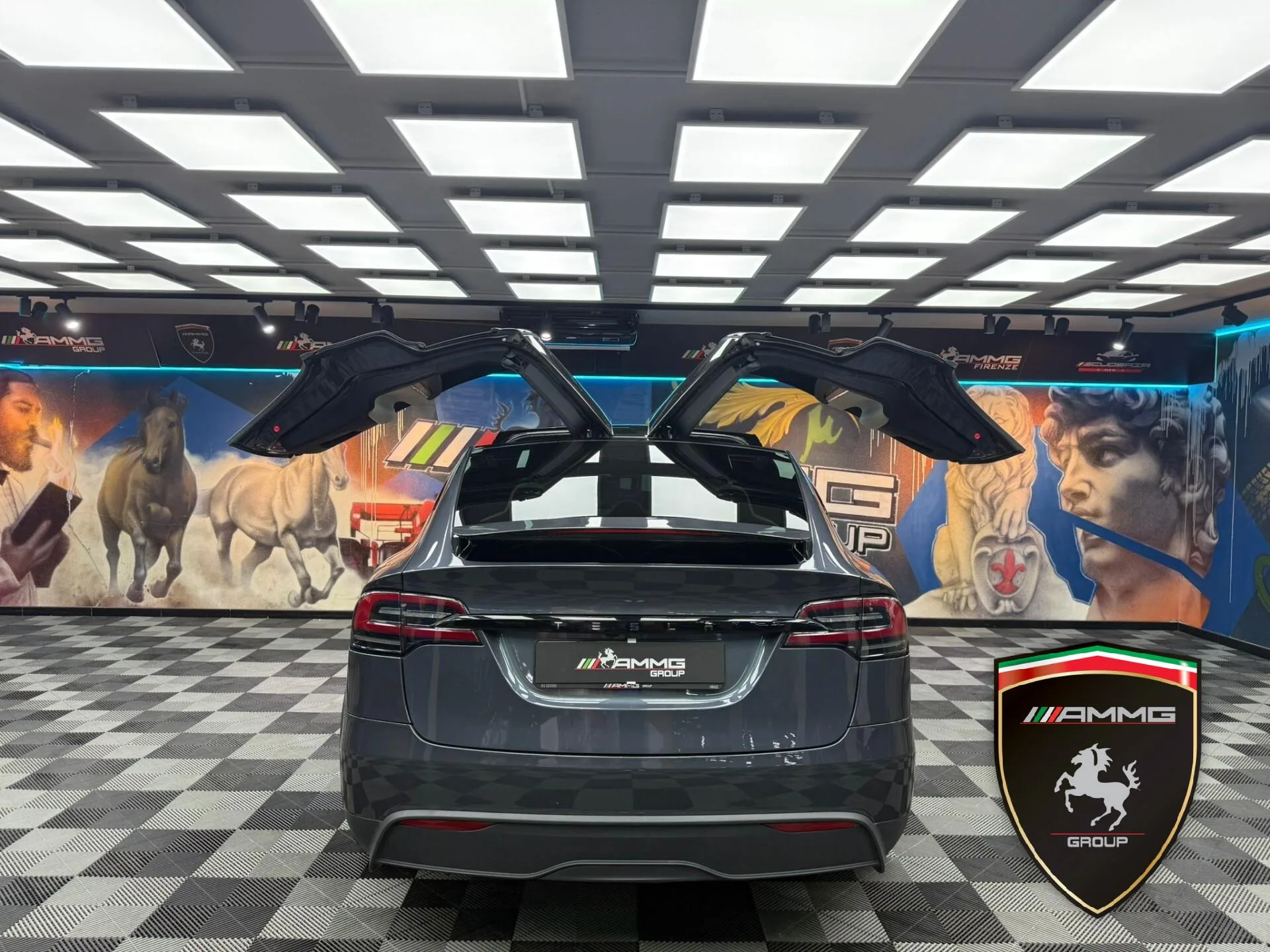 2024 Tesla Model X Long Range, 6/15
