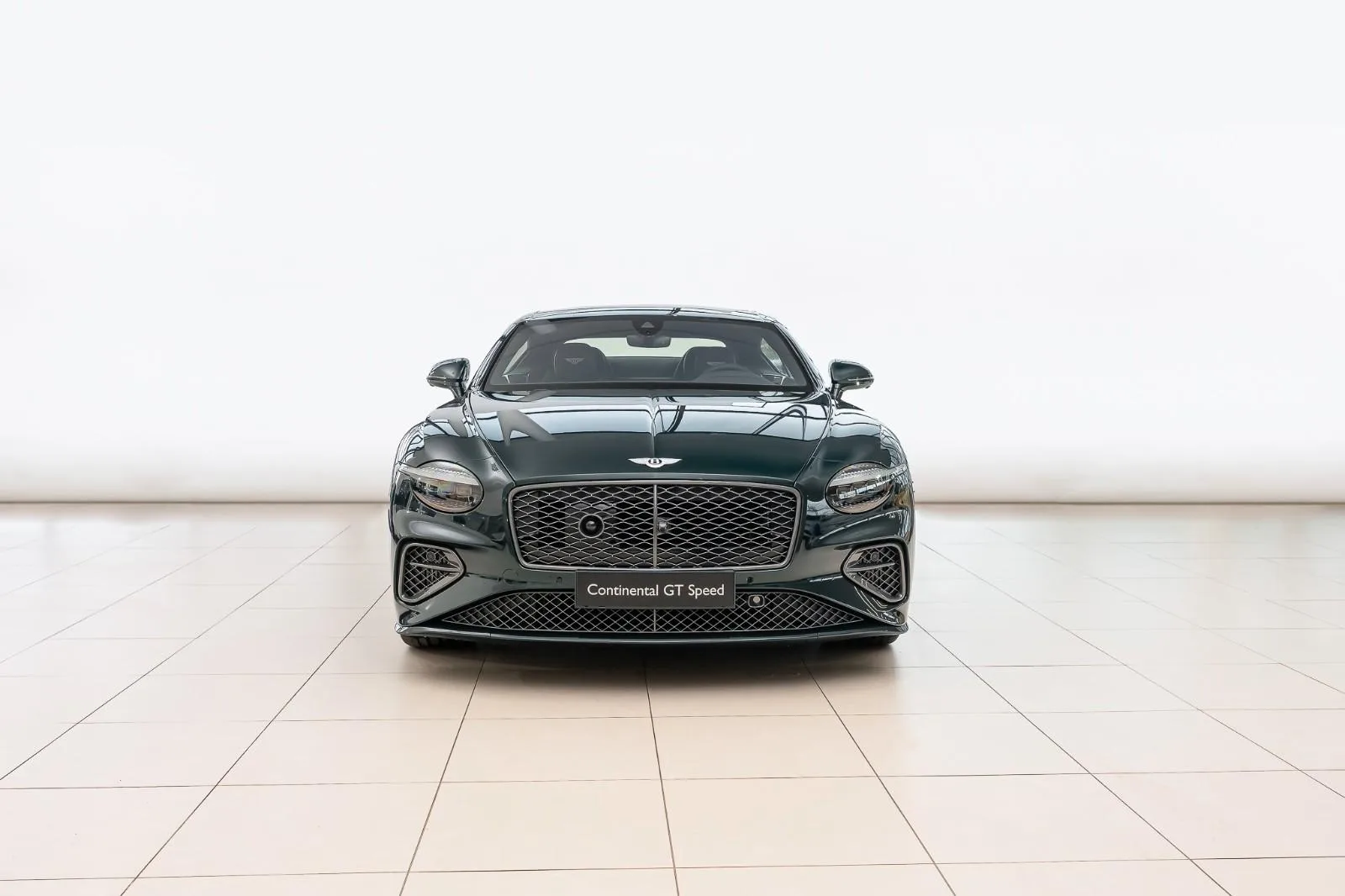 2025 Bentley Continental GT Speed First Edition, 3/19