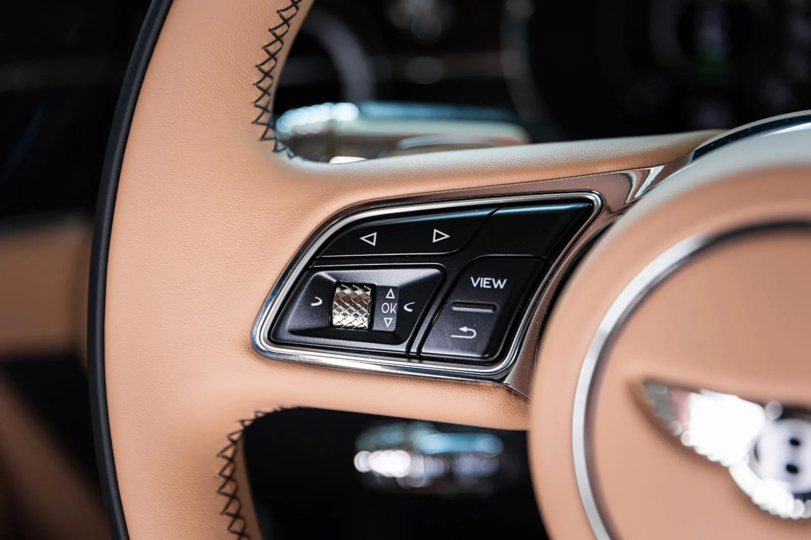 2025 Bentley Continental GT Speed, 13/30