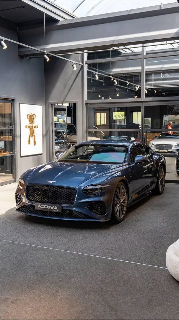 2025 Bentley Continental GT Speed First Edition, 22/30