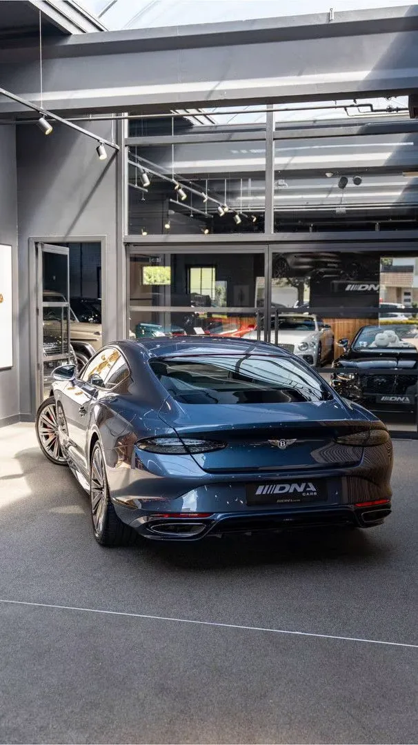 2025 Bentley Continental GT Speed First Edition, 26/30