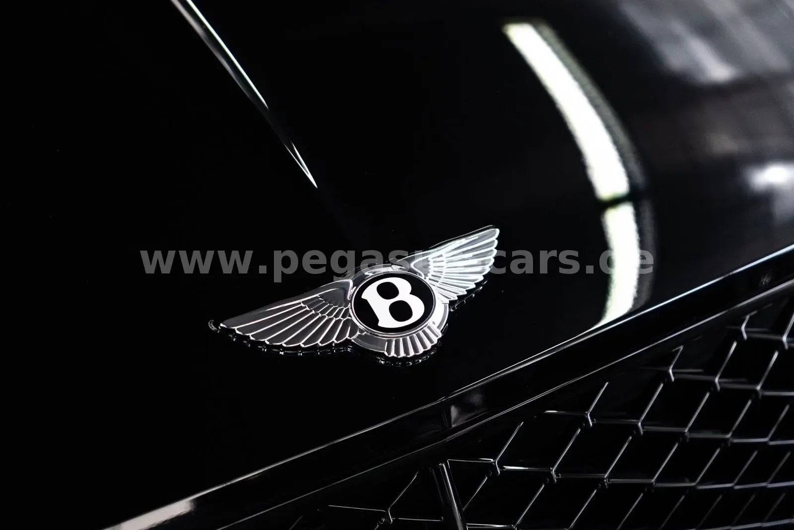 2025 Bentley Continental GT Speed First Edition, 19/30