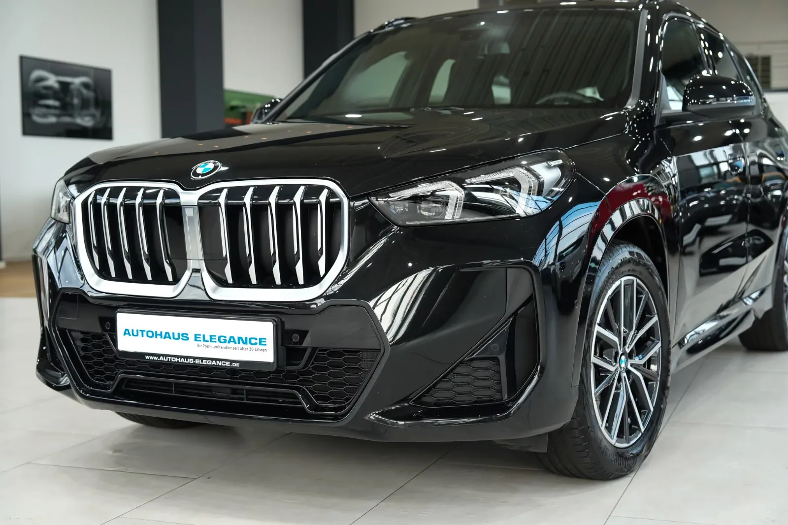 2025 BMW X1 xDrive20d, 9/25