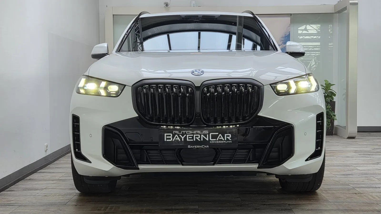 2025 BMW X5 xDrive50e M Sport Pro, 2/30