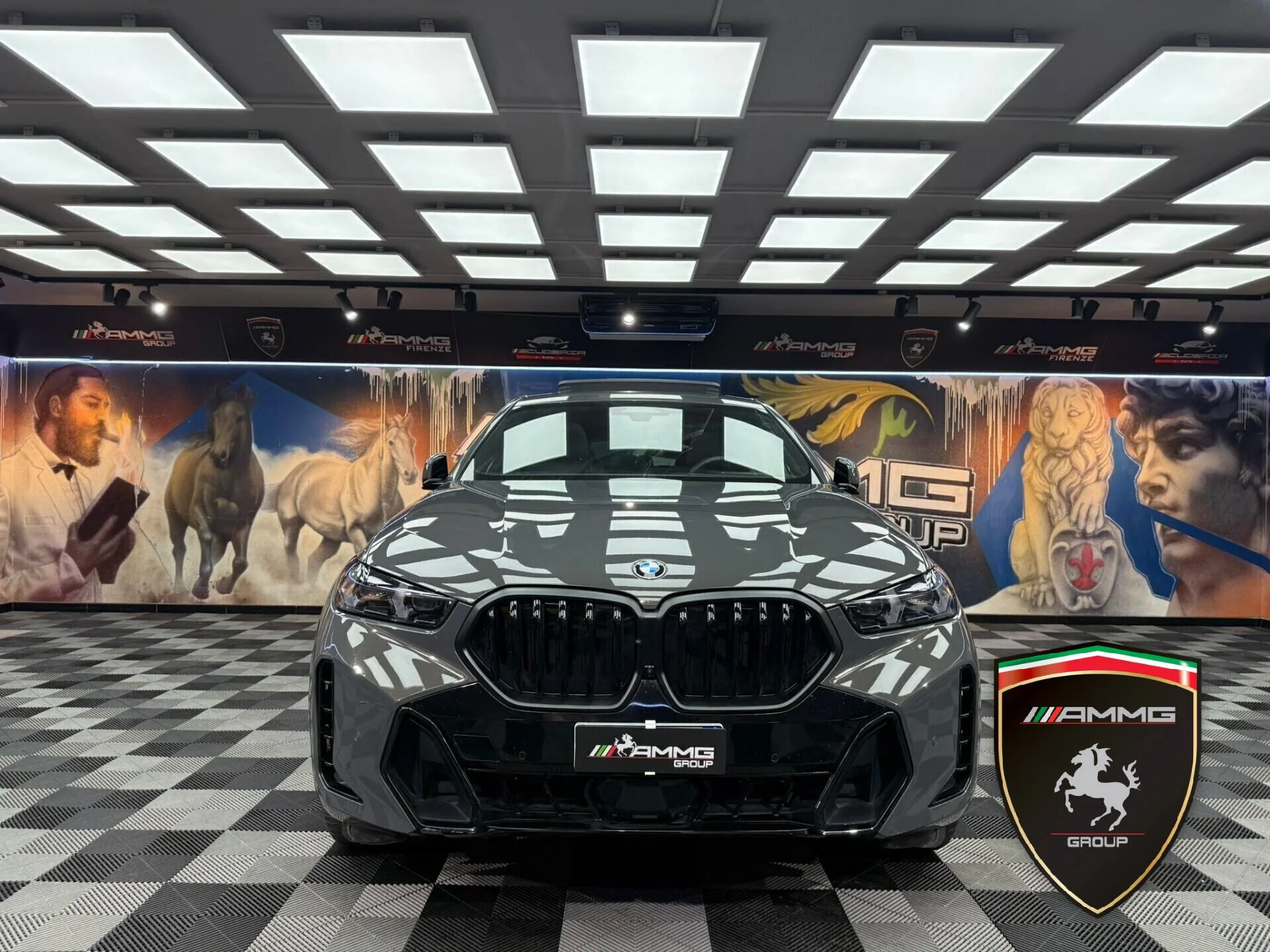 2025 BMW X6 xDrive30d M Sport Pro, 2/14