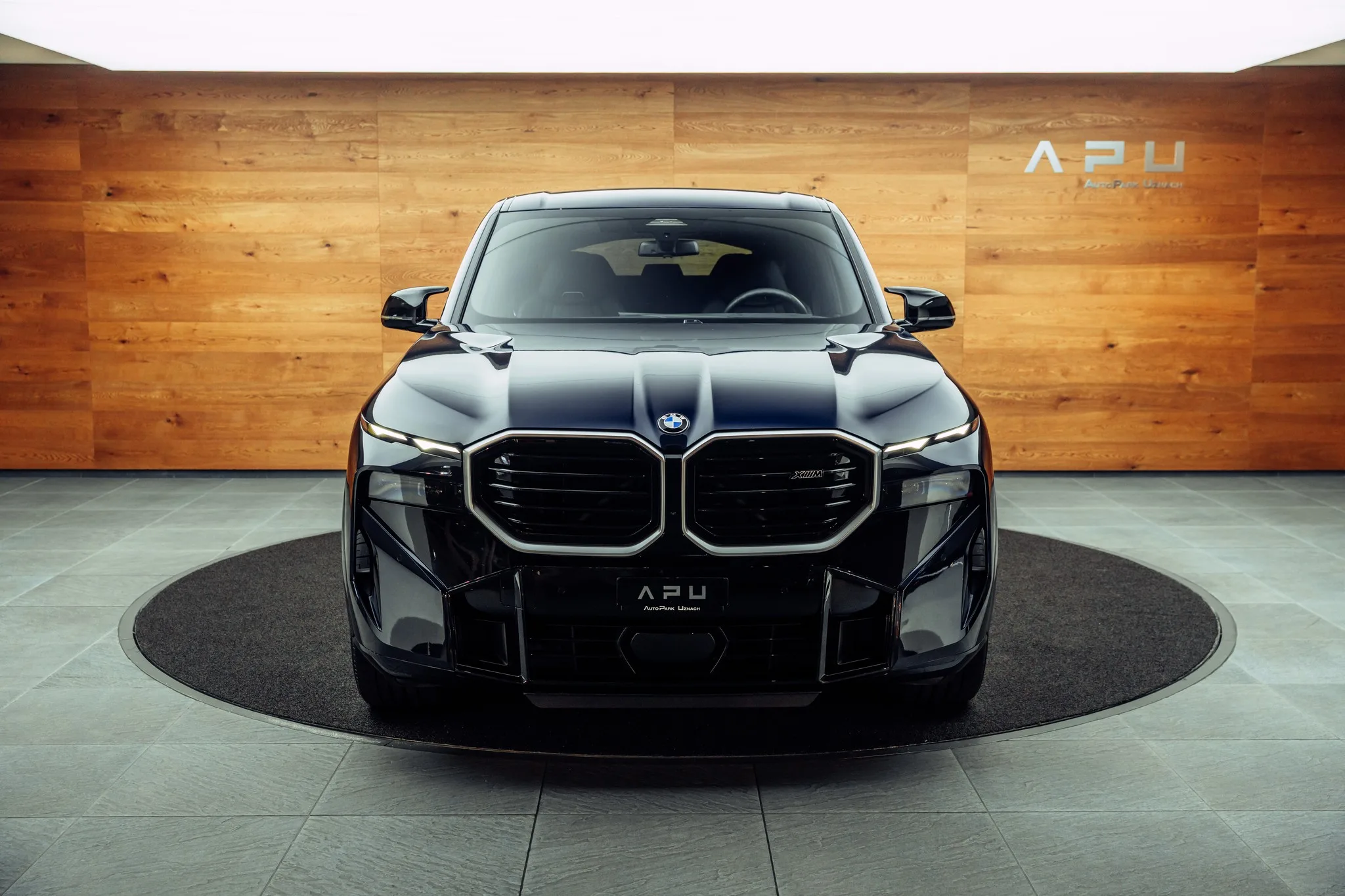 2025 BMW XM 50e, 19/22